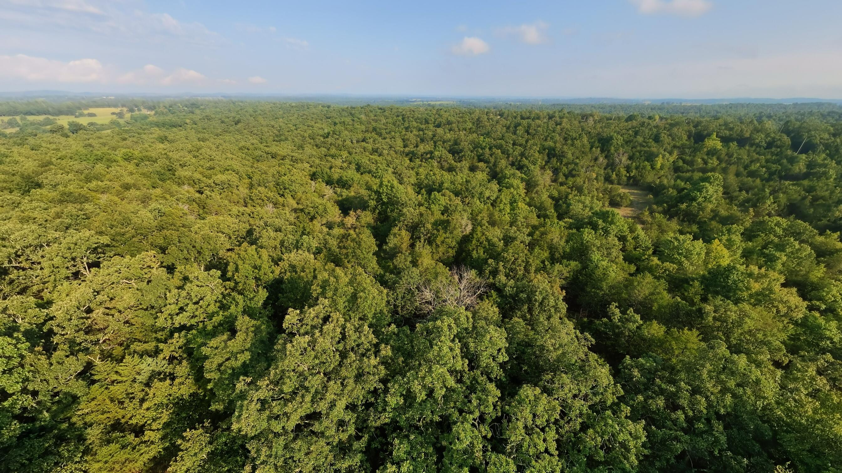 Photo 11 - Land for sale – 000 E County Road 646   Theodosia, MO