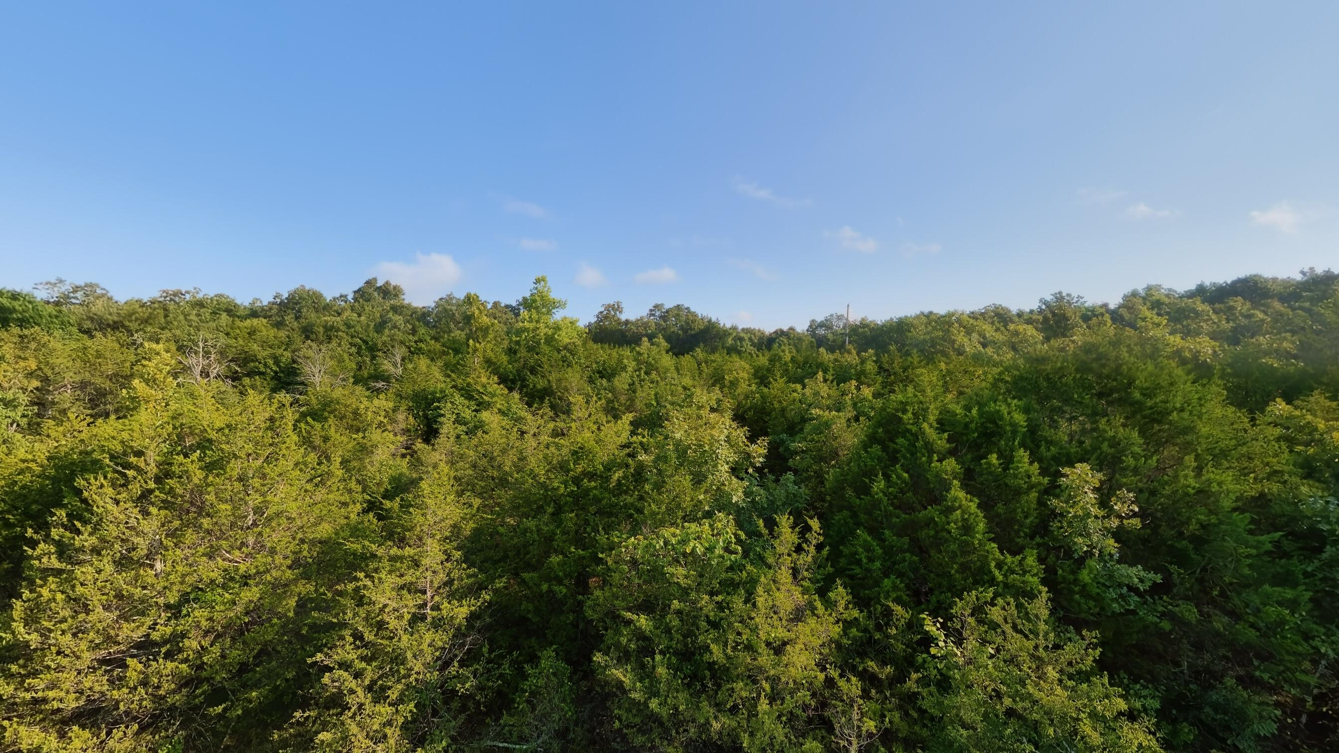 Photo 25 - Land for sale – 000 E County Road 646   Theodosia, MO