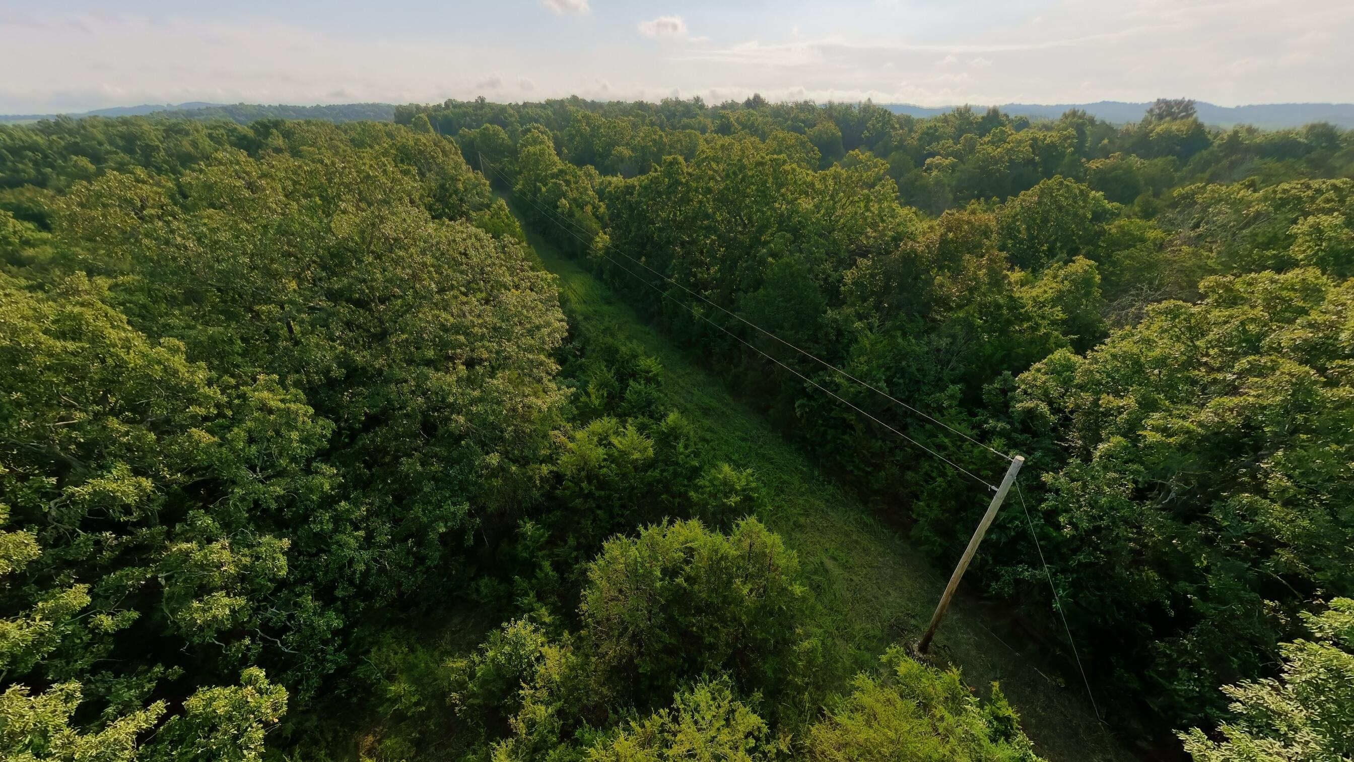 Photo 7 - Land for sale – 000 E County Road 646   Theodosia, MO