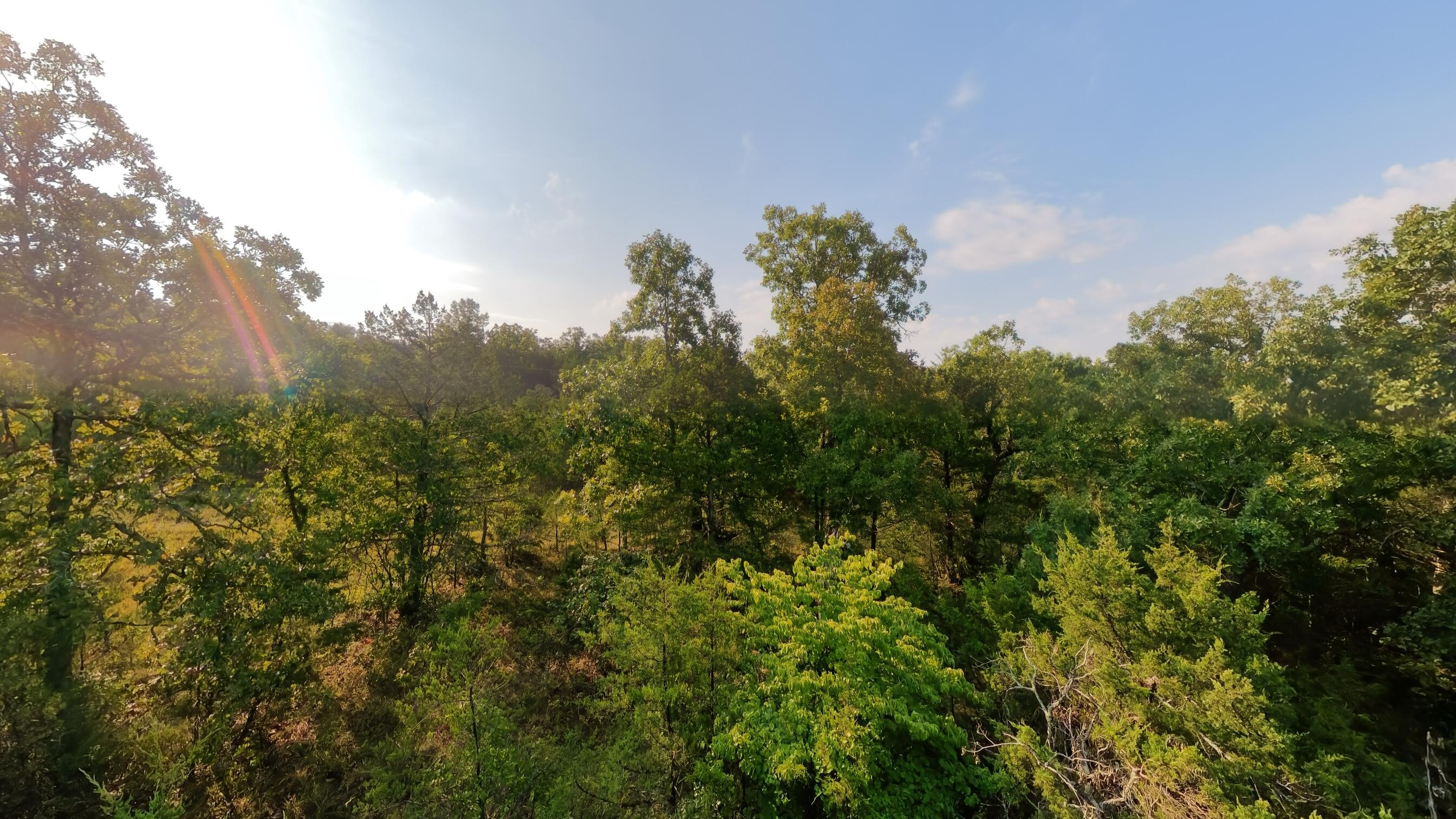 Photo 30 - Land for sale – 000 E County Road 646   Theodosia, MO