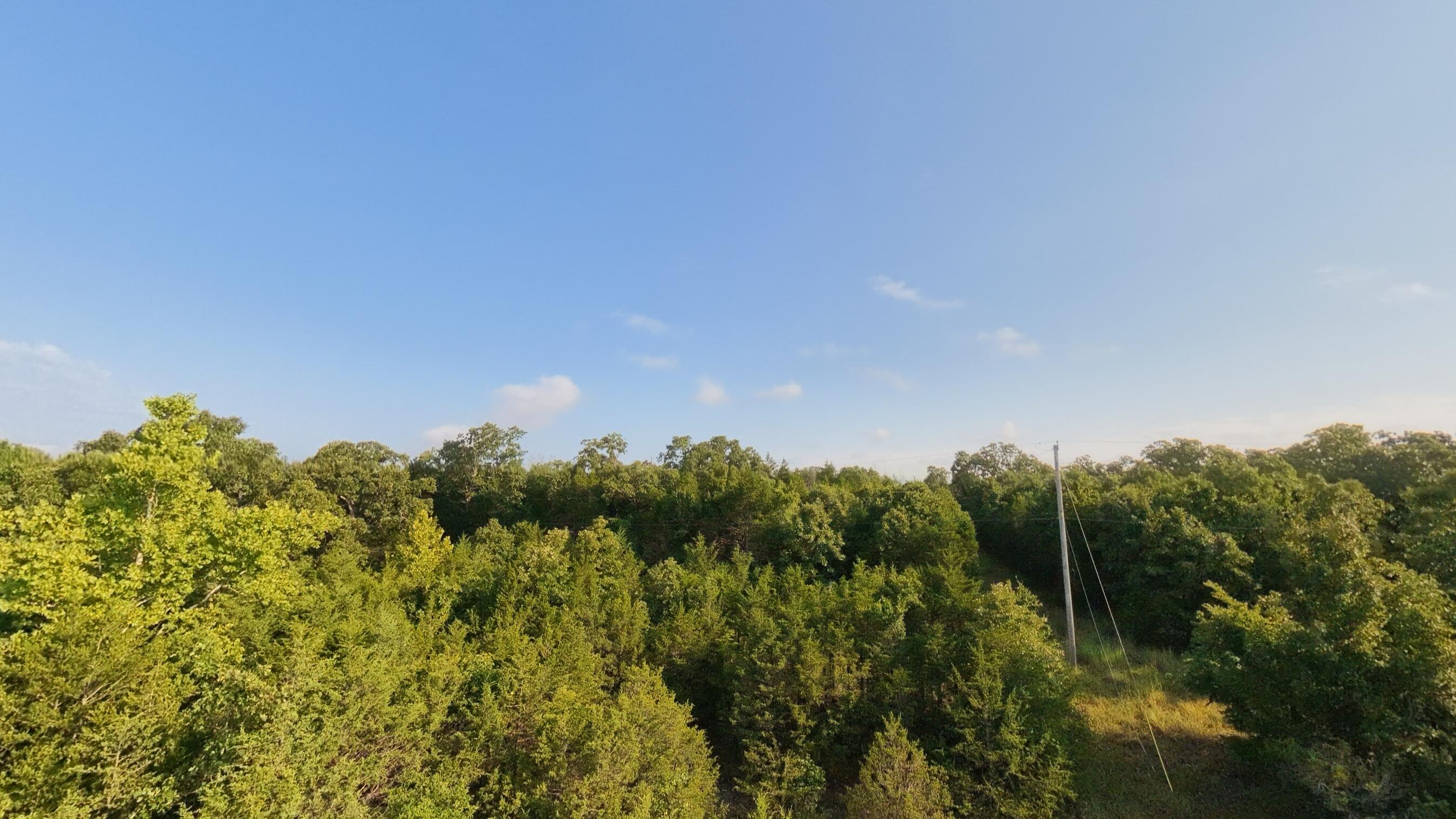 Photo 21 - Land for sale – 000 E County Road 646   Theodosia, MO