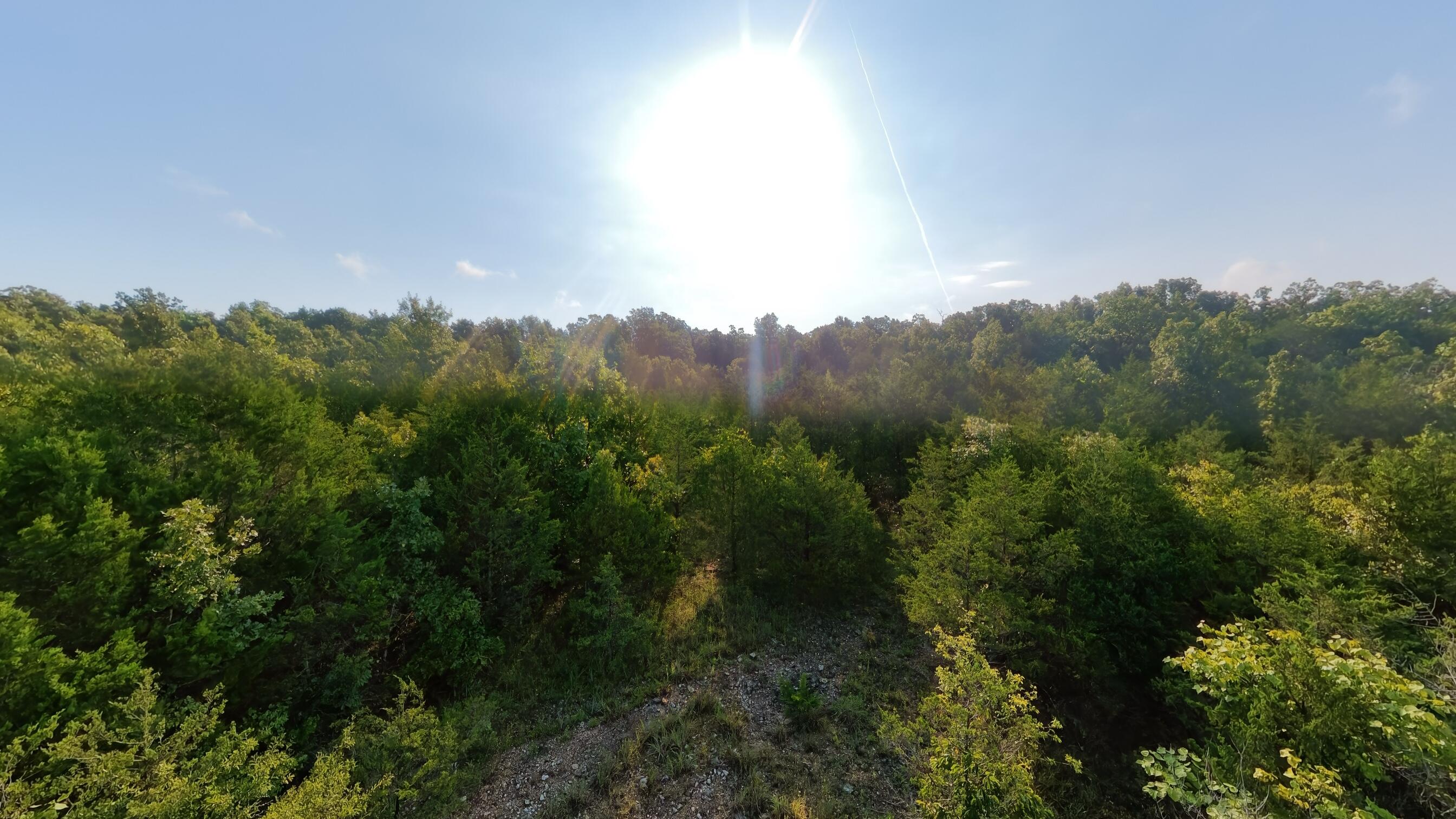 Photo 24 - Land for sale – 000 E County Road 646   Theodosia, MO