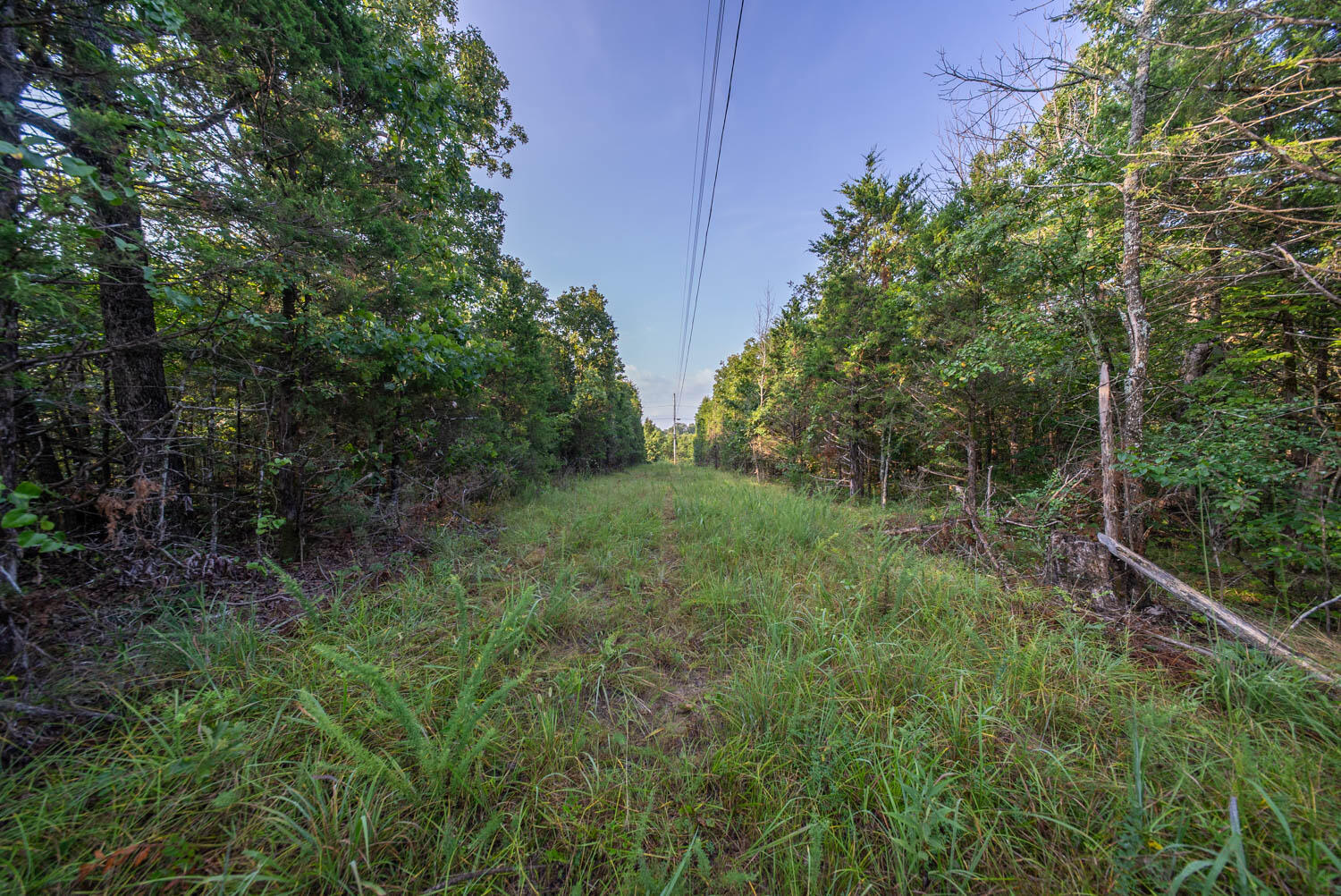 Photo 38 - Land for sale – 000 E County Road 646   Theodosia, MO