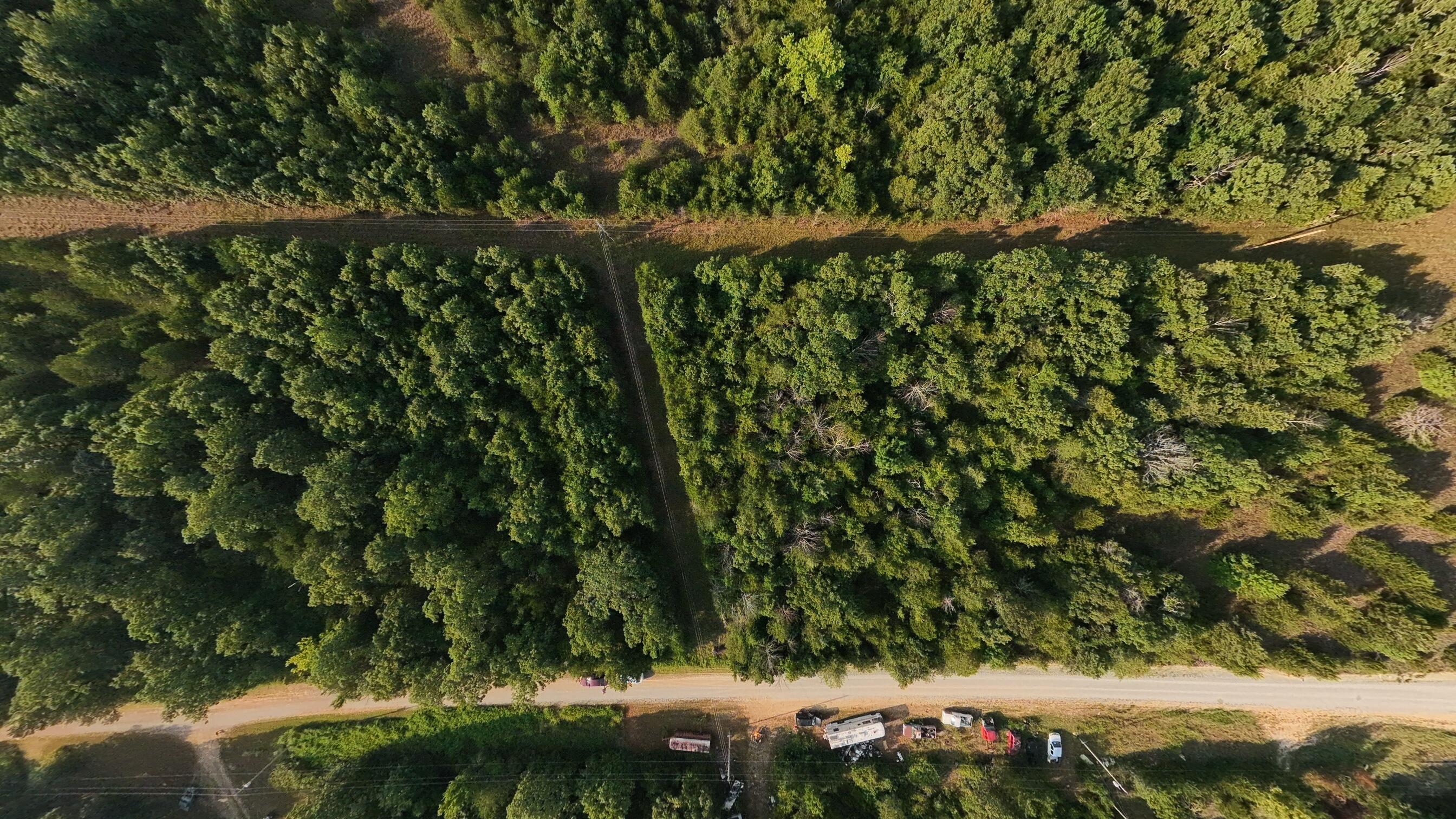 Photo 5 - Land for sale – 000 E County Road 646   Theodosia, MO