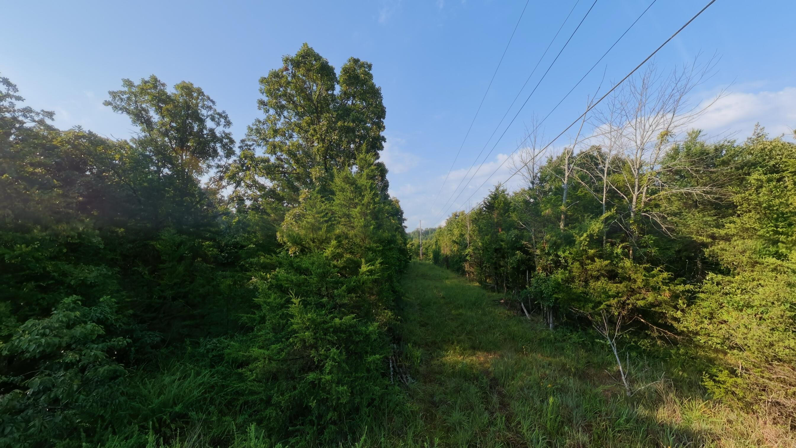 Photo 12 - Land for sale – 000 E County Road 646   Theodosia, MO