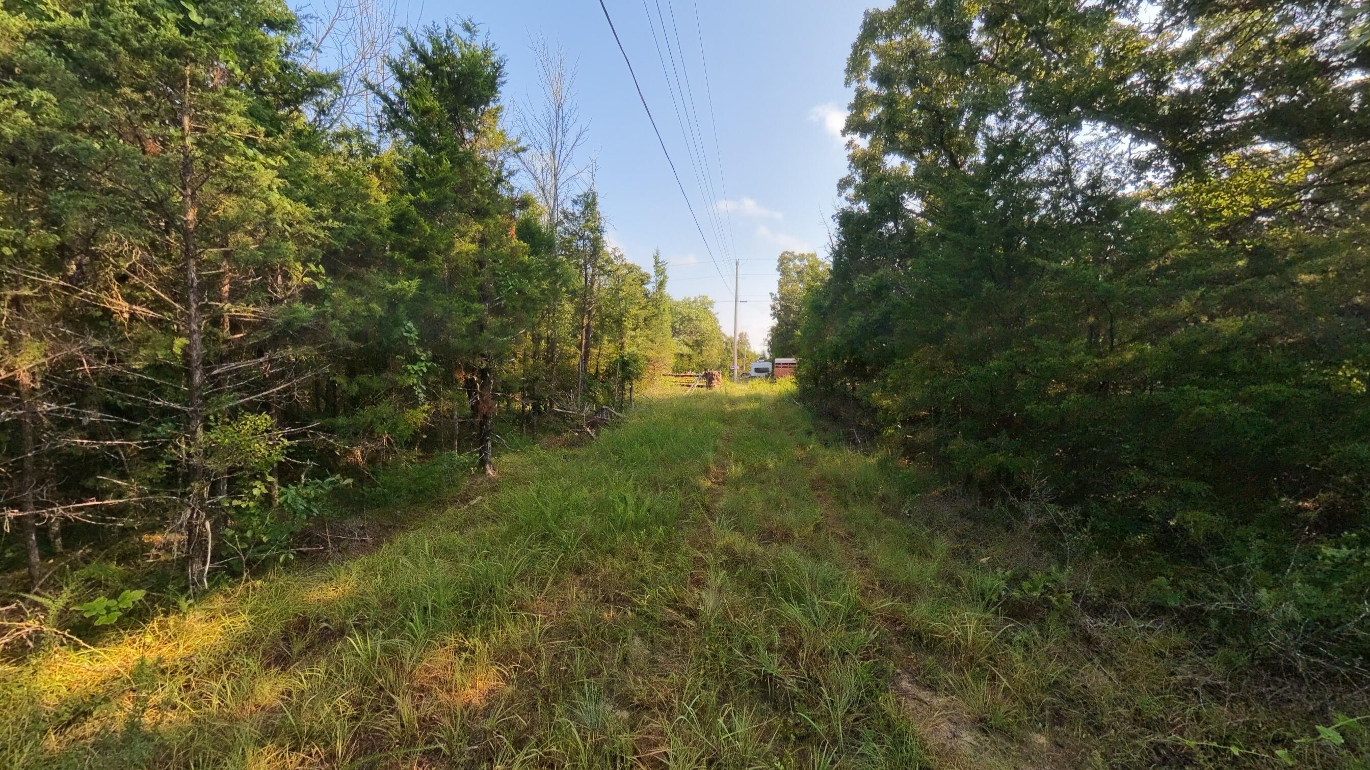 Photo 15 - Land for sale – 000 E County Road 646   Theodosia, MO