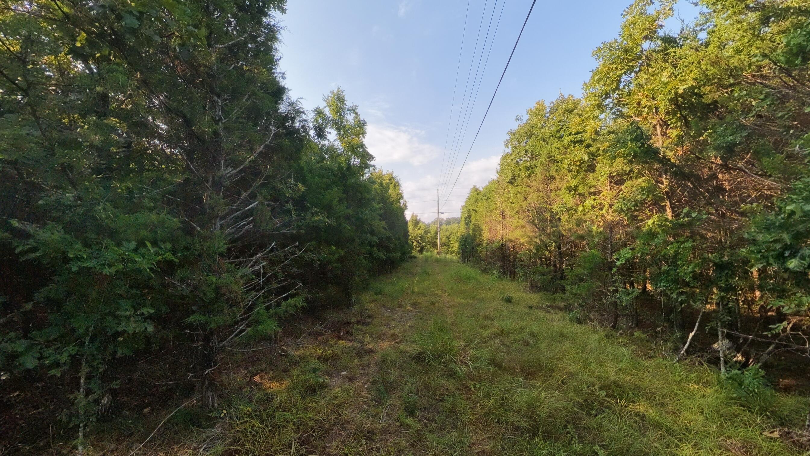 Photo 14 - Land for sale – 000 E County Road 646   Theodosia, MO