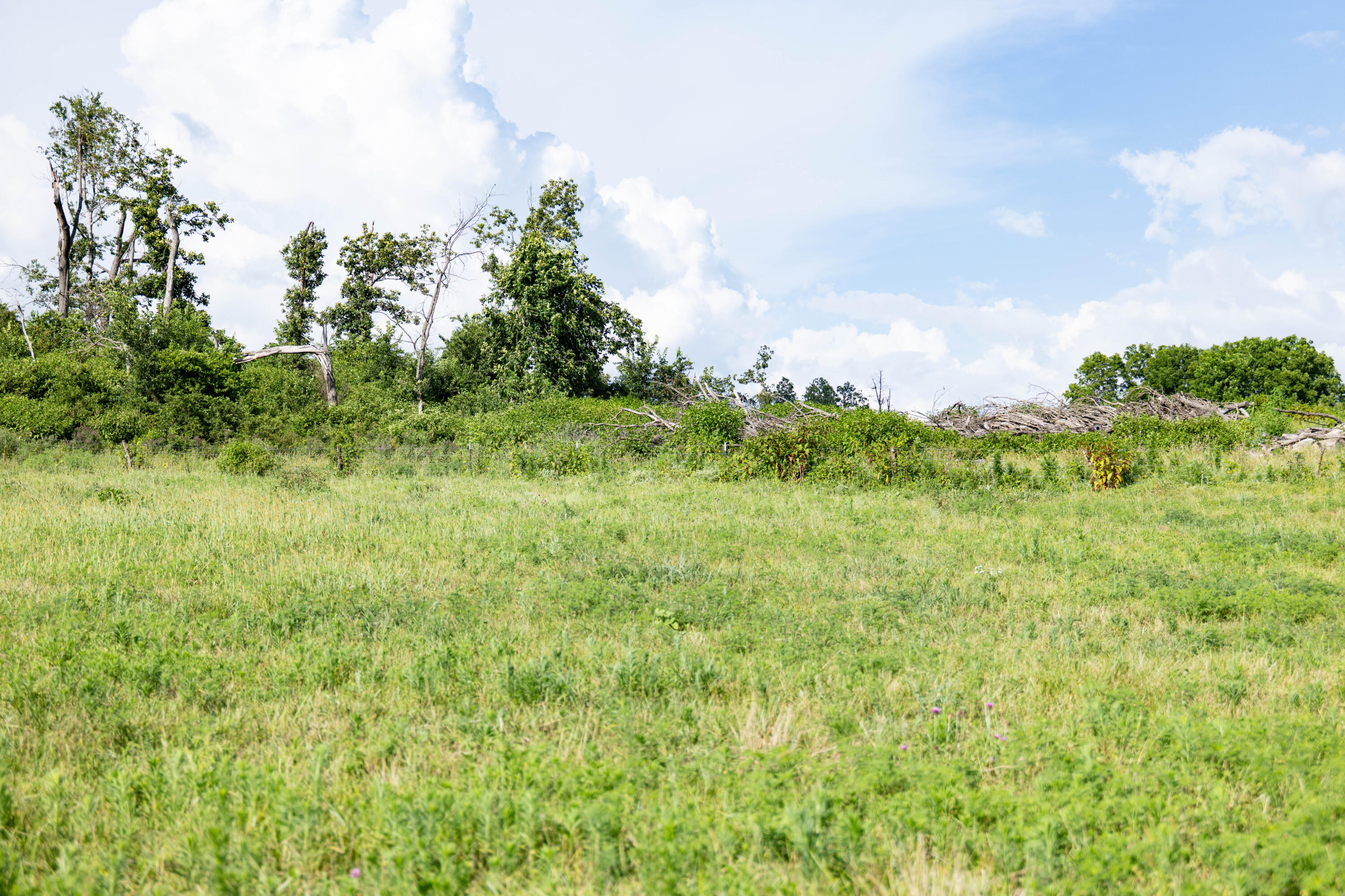 Photo 40 - Land for sale – 16406  Lawrence 2240   Verona, MO