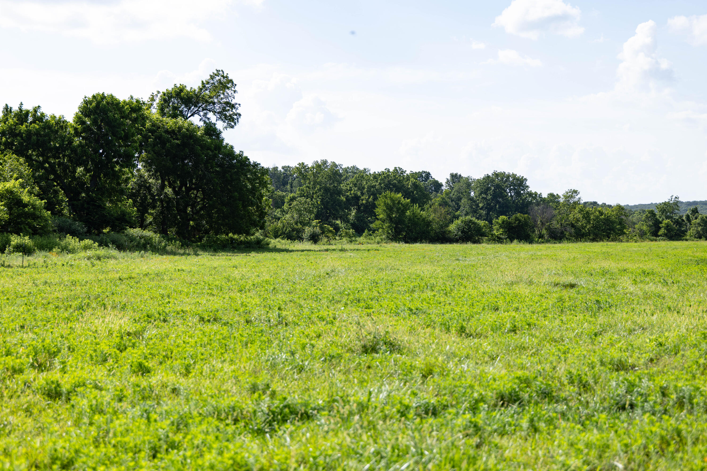 Photo 35 - Land for sale – 16406  Lawrence 2240   Verona, MO