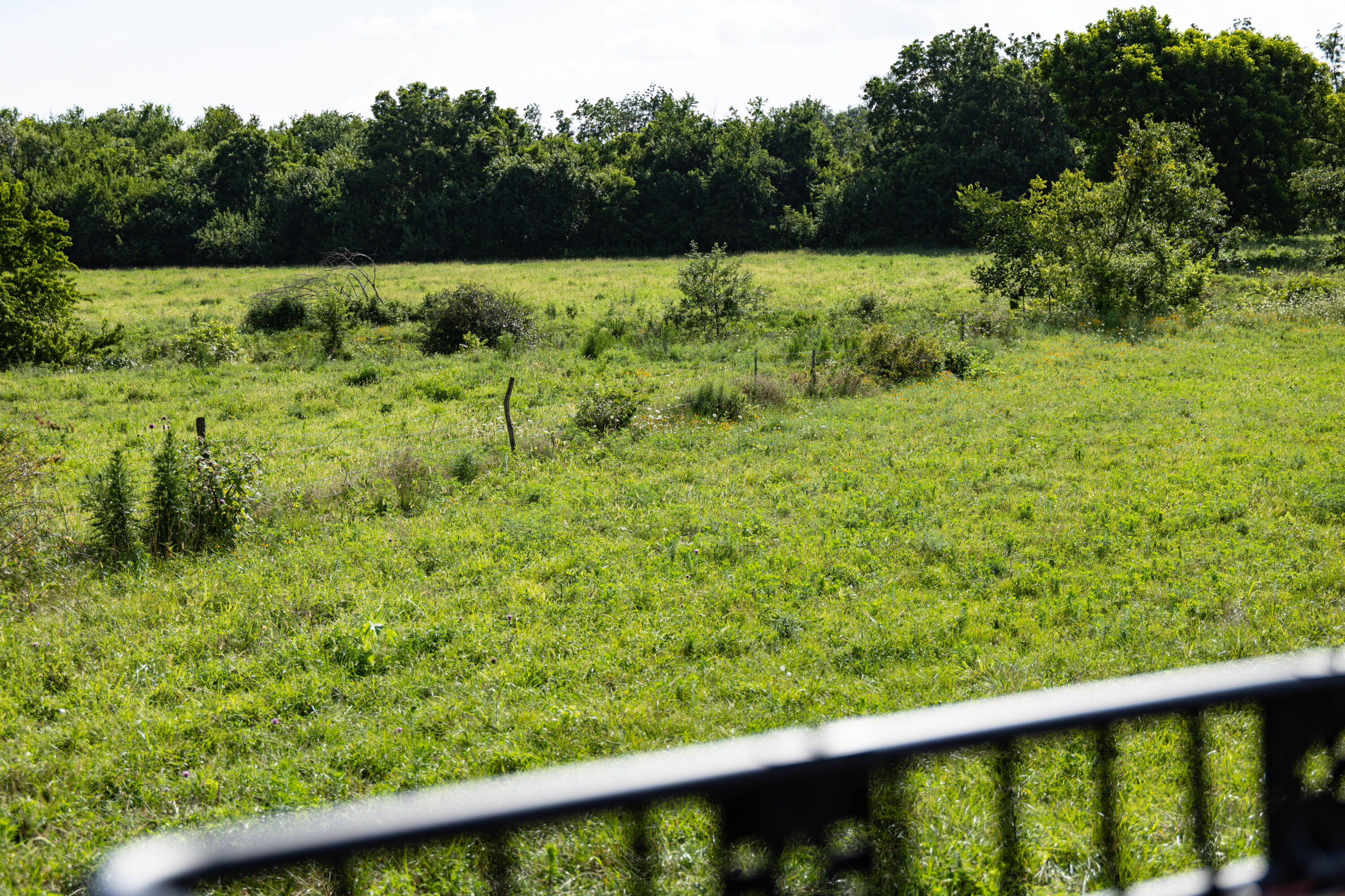Photo 49 - Land for sale – 16406  Lawrence 2240   Verona, MO