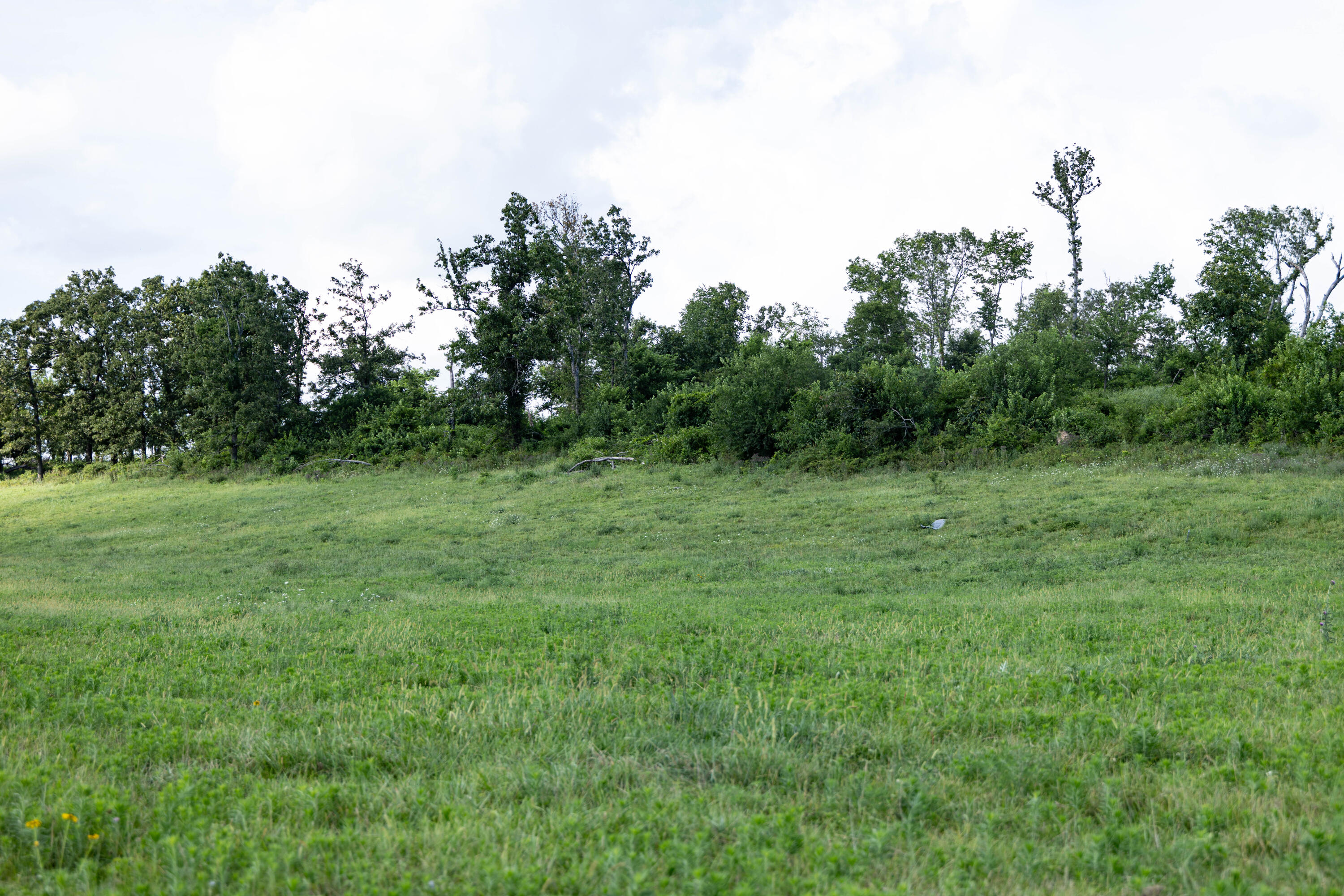 Photo 21 - Land for sale – 16406  Lawrence 2240   Verona, MO