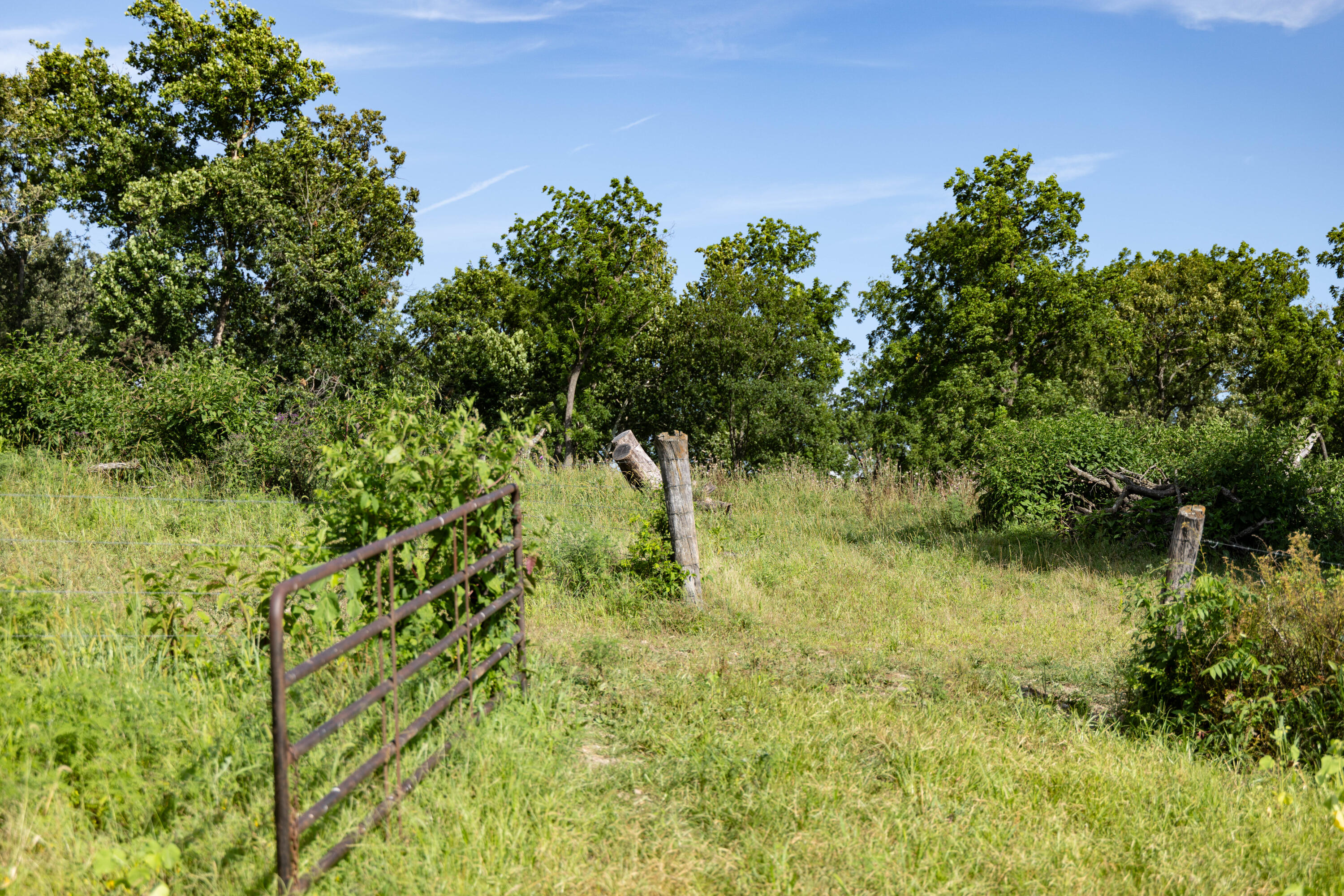 Photo 41 - Land for sale – 16406  Lawrence 2240   Verona, MO