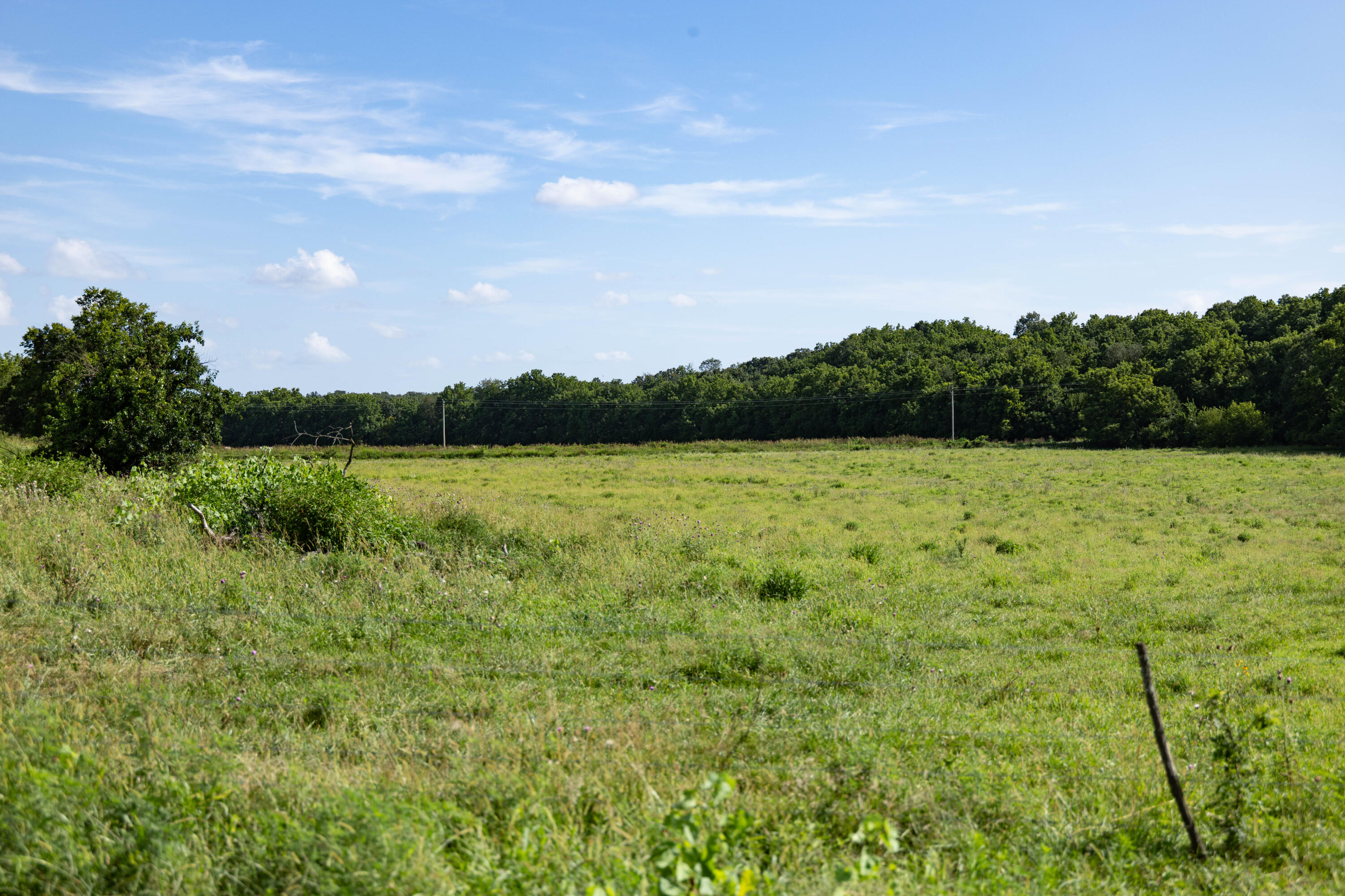 Photo 45 - Land for sale – 16406  Lawrence 2240   Verona, MO