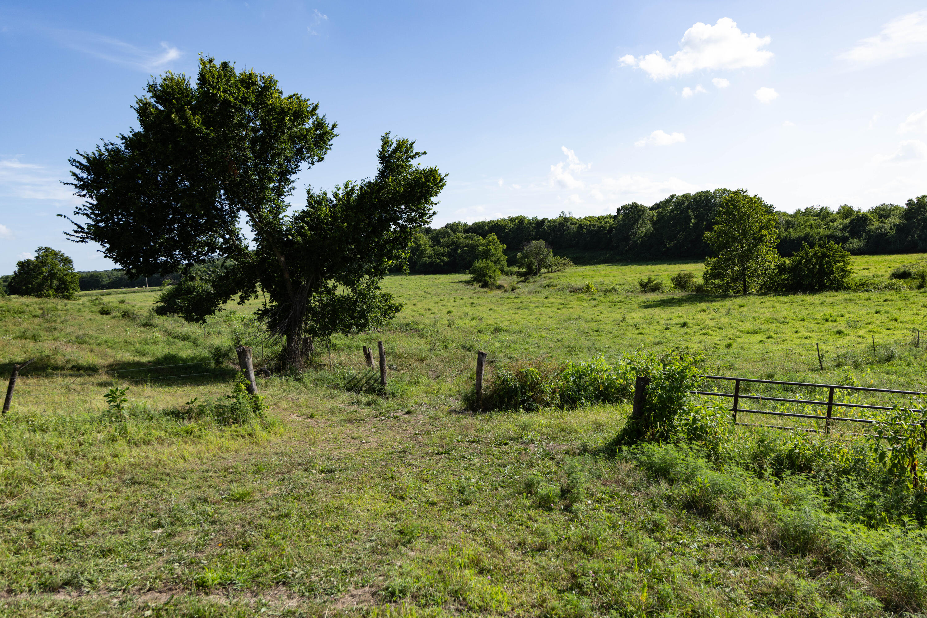Photo 24 - Land for sale – 16406  Lawrence 2240   Verona, MO
