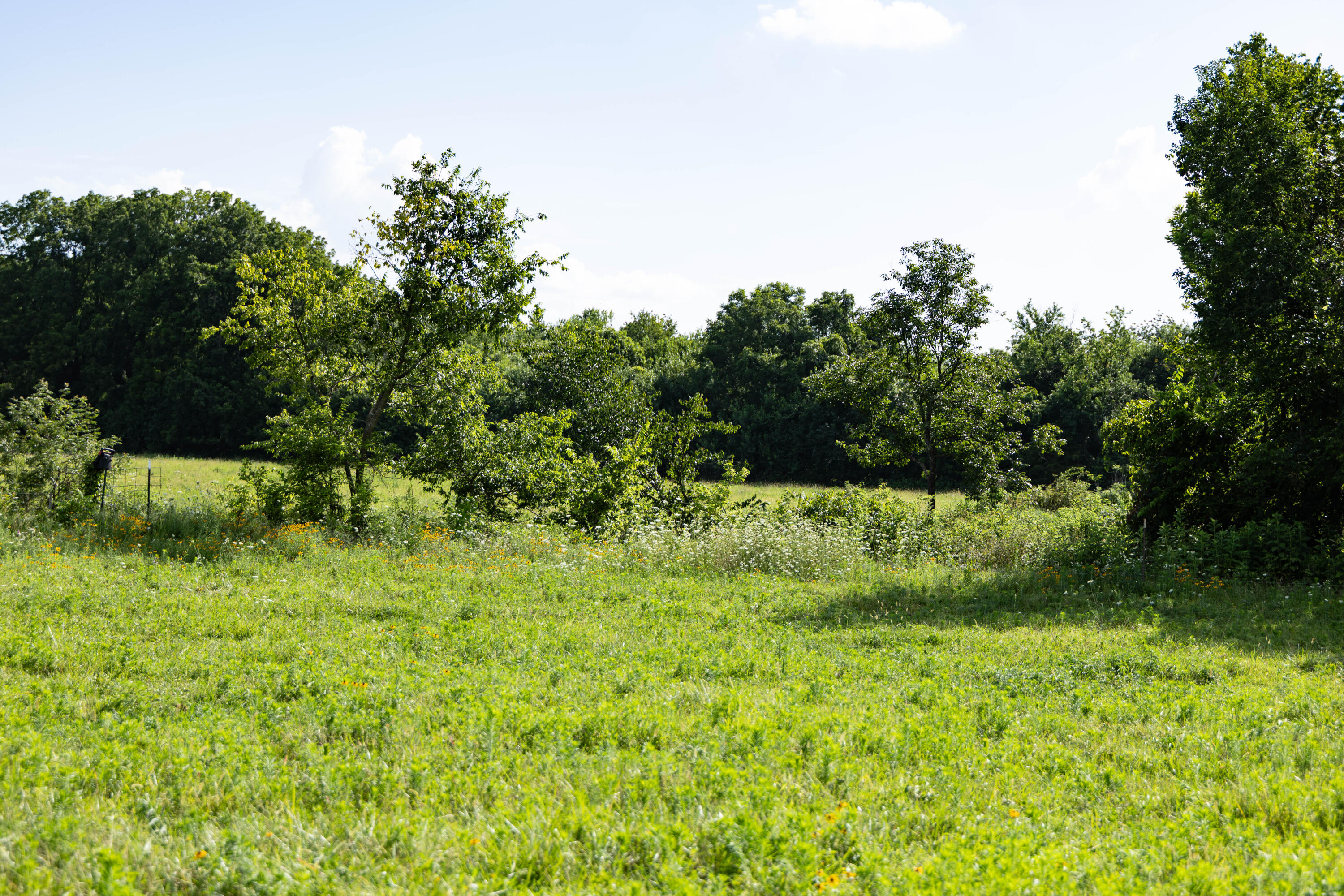 Photo 33 - Land for sale – 16406  Lawrence 2240   Verona, MO