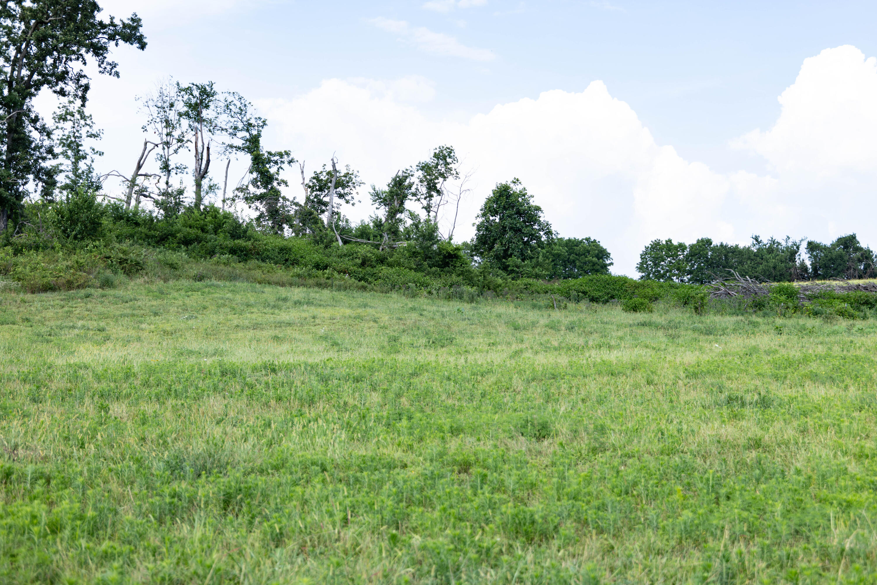 Photo 31 - Land for sale – 16406  Lawrence 2240   Verona, MO