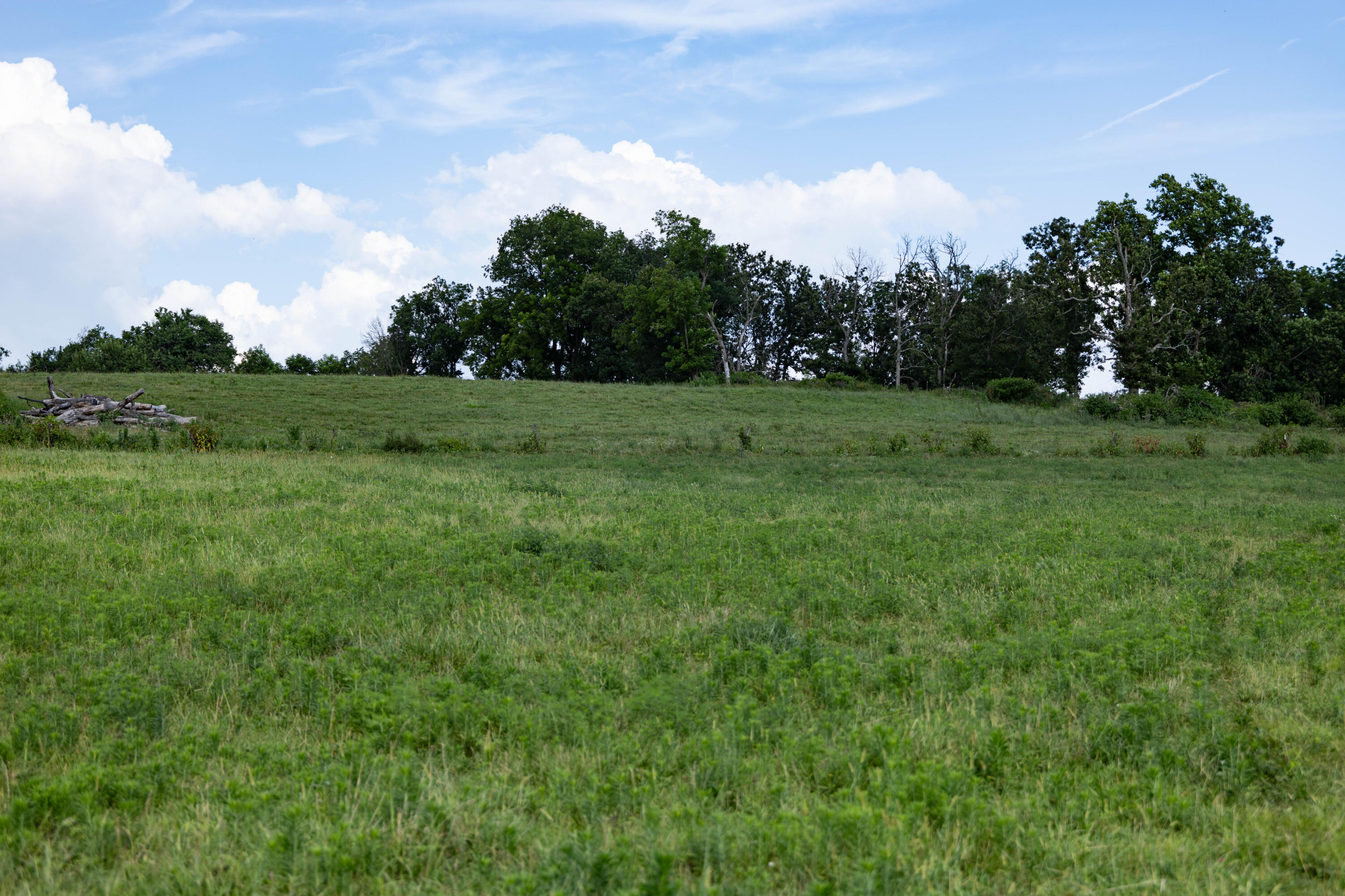 Photo 32 - Land for sale – 16406  Lawrence 2240   Verona, MO