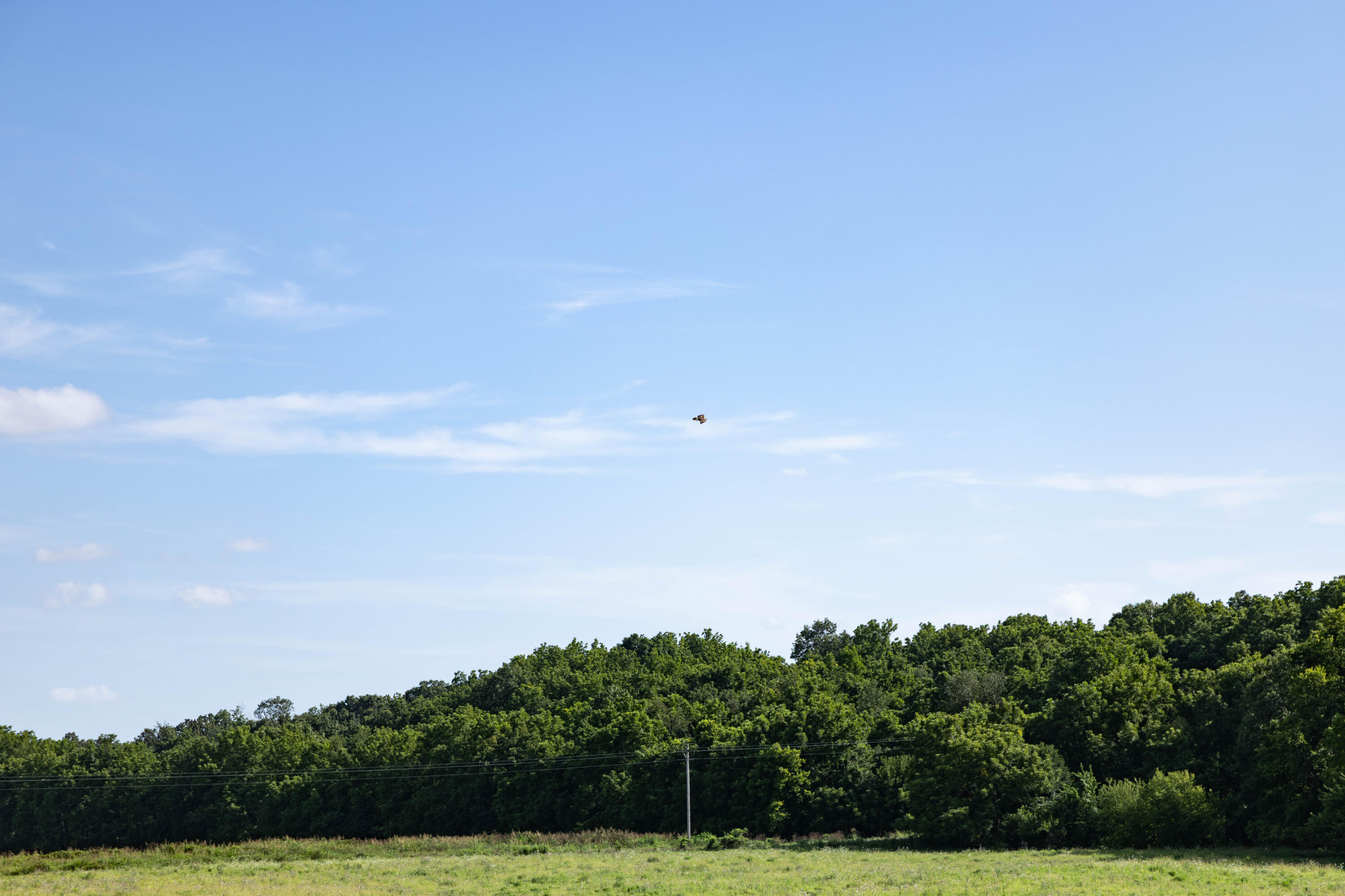 Photo 50 - Land for sale – 16406  Lawrence 2240   Verona, MO
