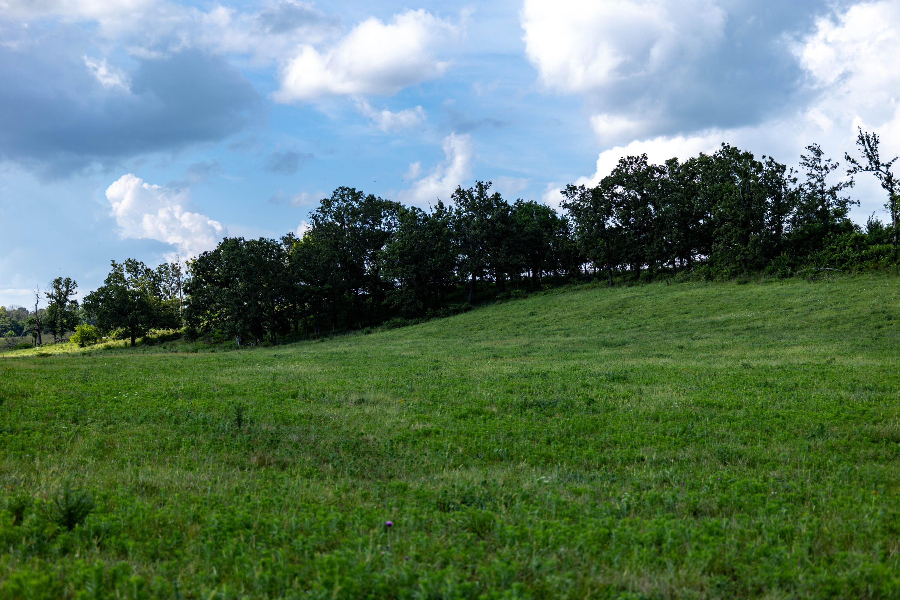 Photo 17 - Land for sale – 16406  Lawrence 2240   Verona, MO