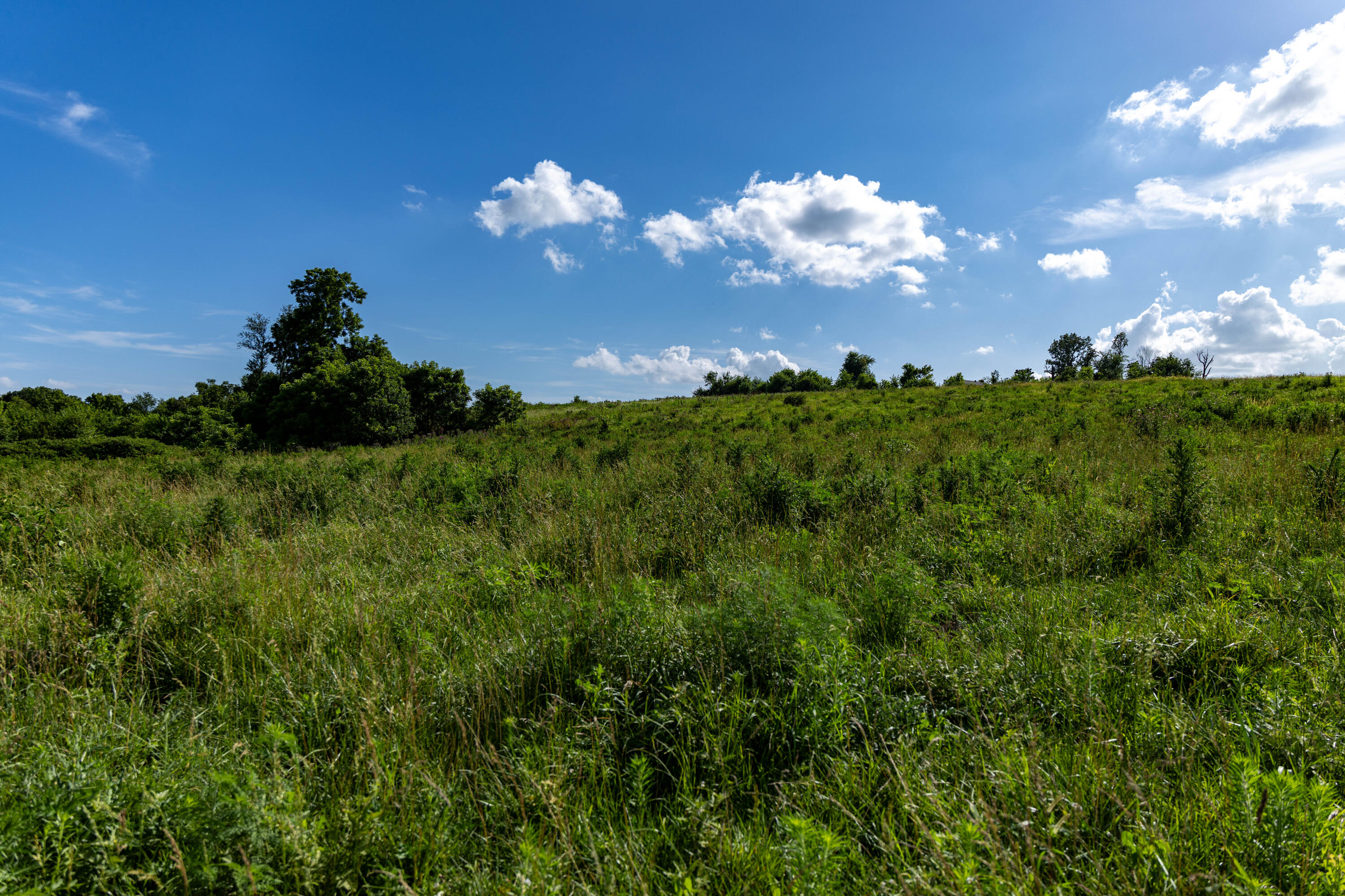 Photo 8 - Land for sale – 16406  Lawrence 2240   Verona, MO