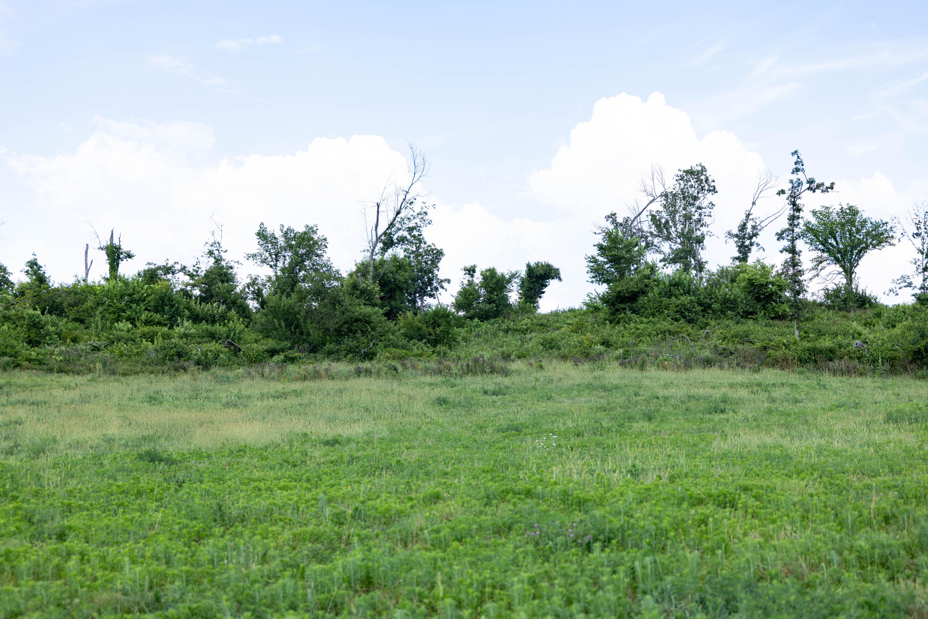 Photo 25 - Land for sale – 16406  Lawrence 2240   Verona, MO