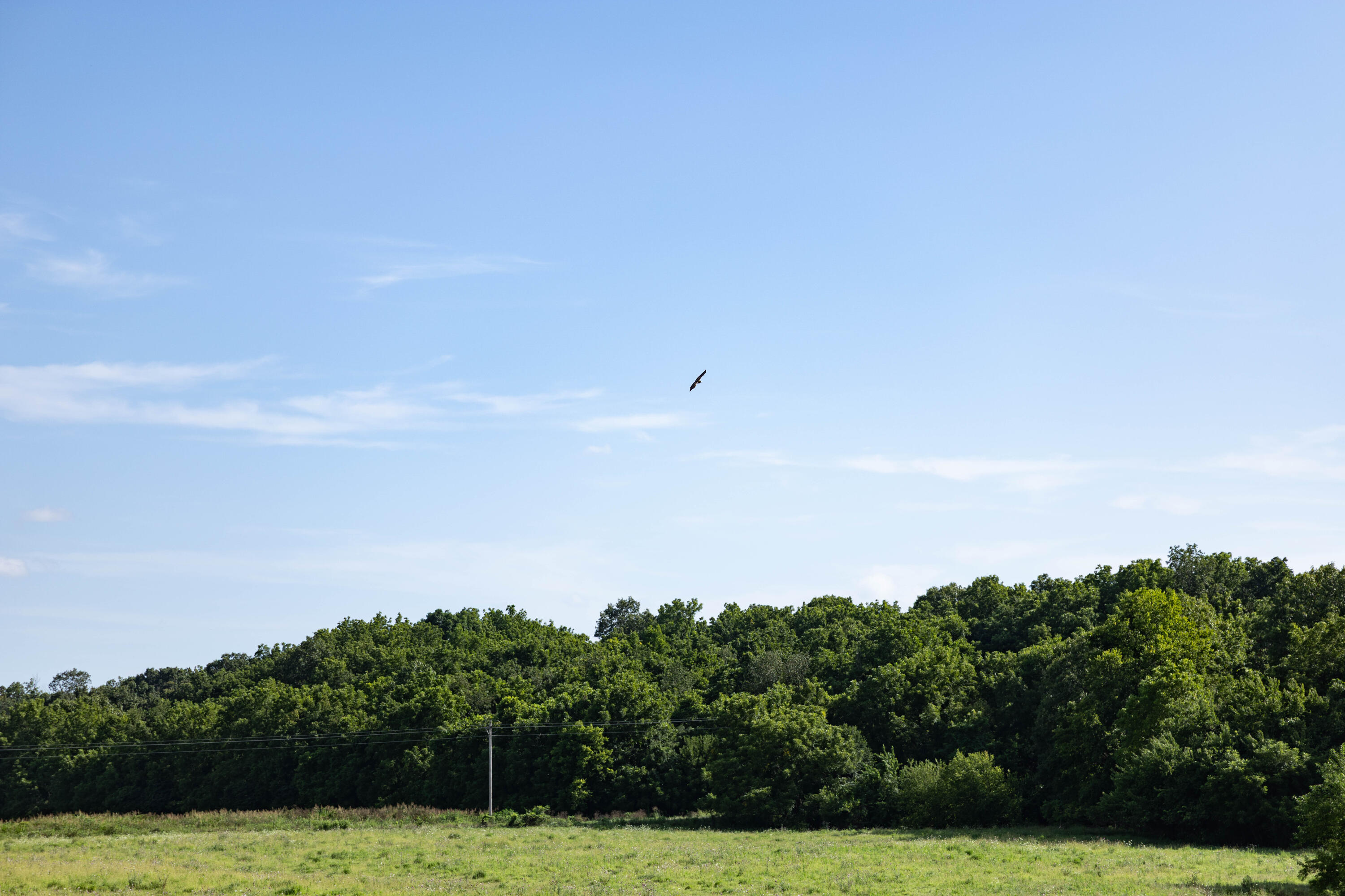 Photo 23 - Land for sale – 16406  Lawrence 2240   Verona, MO