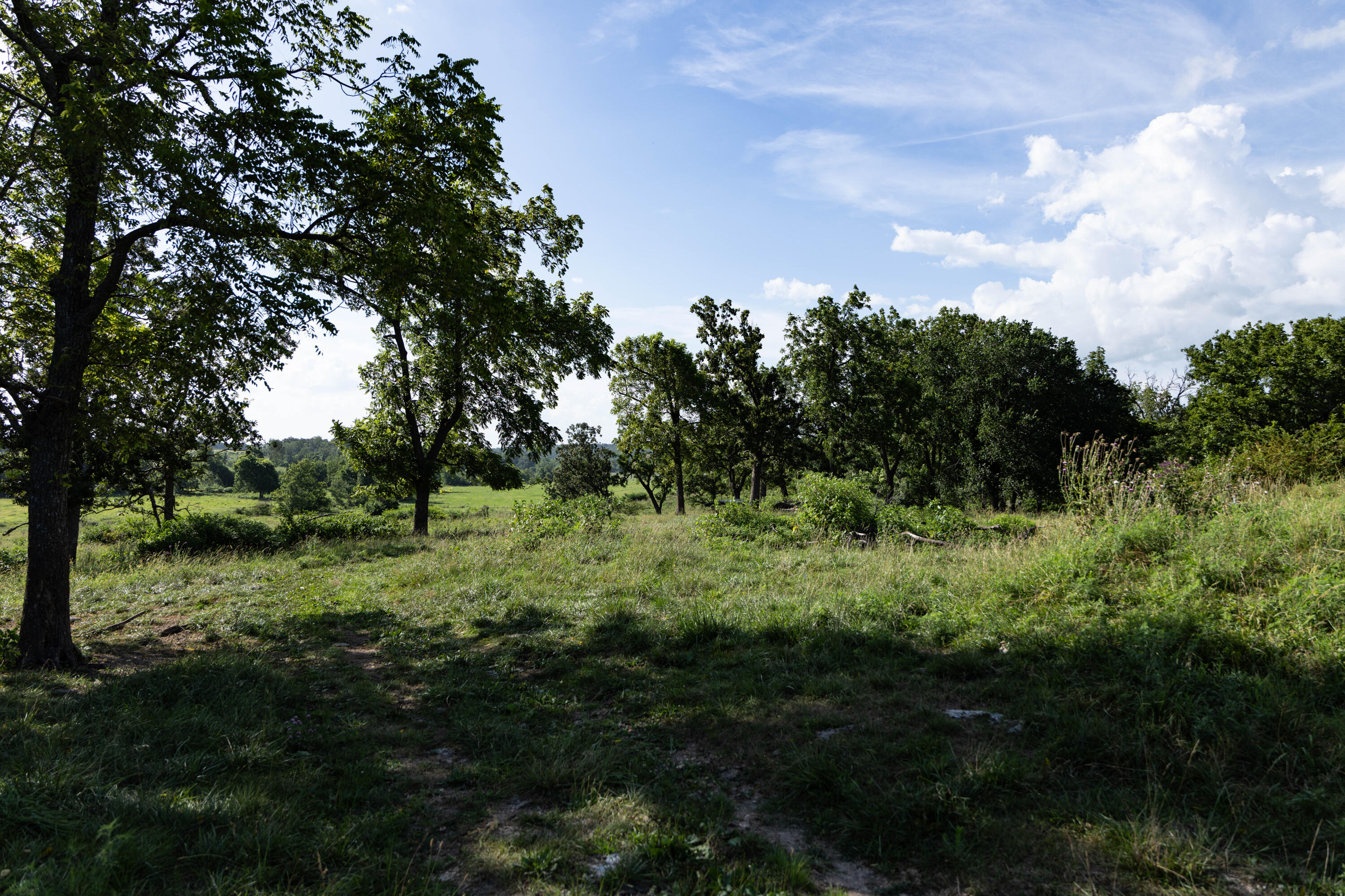 Photo 22 - Land for sale – 16406  Lawrence 2240   Verona, MO