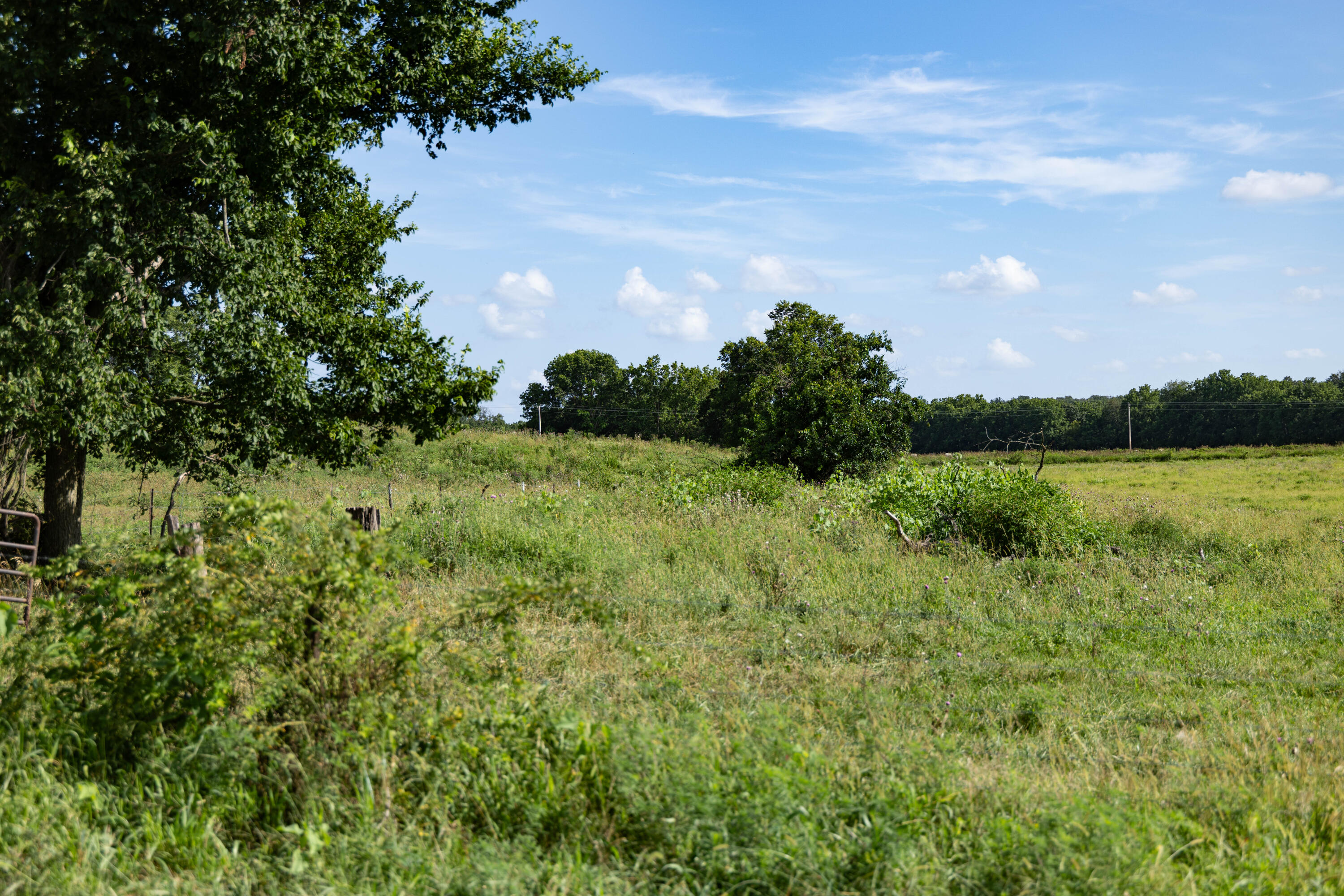Photo 43 - Land for sale – 16406  Lawrence 2240   Verona, MO