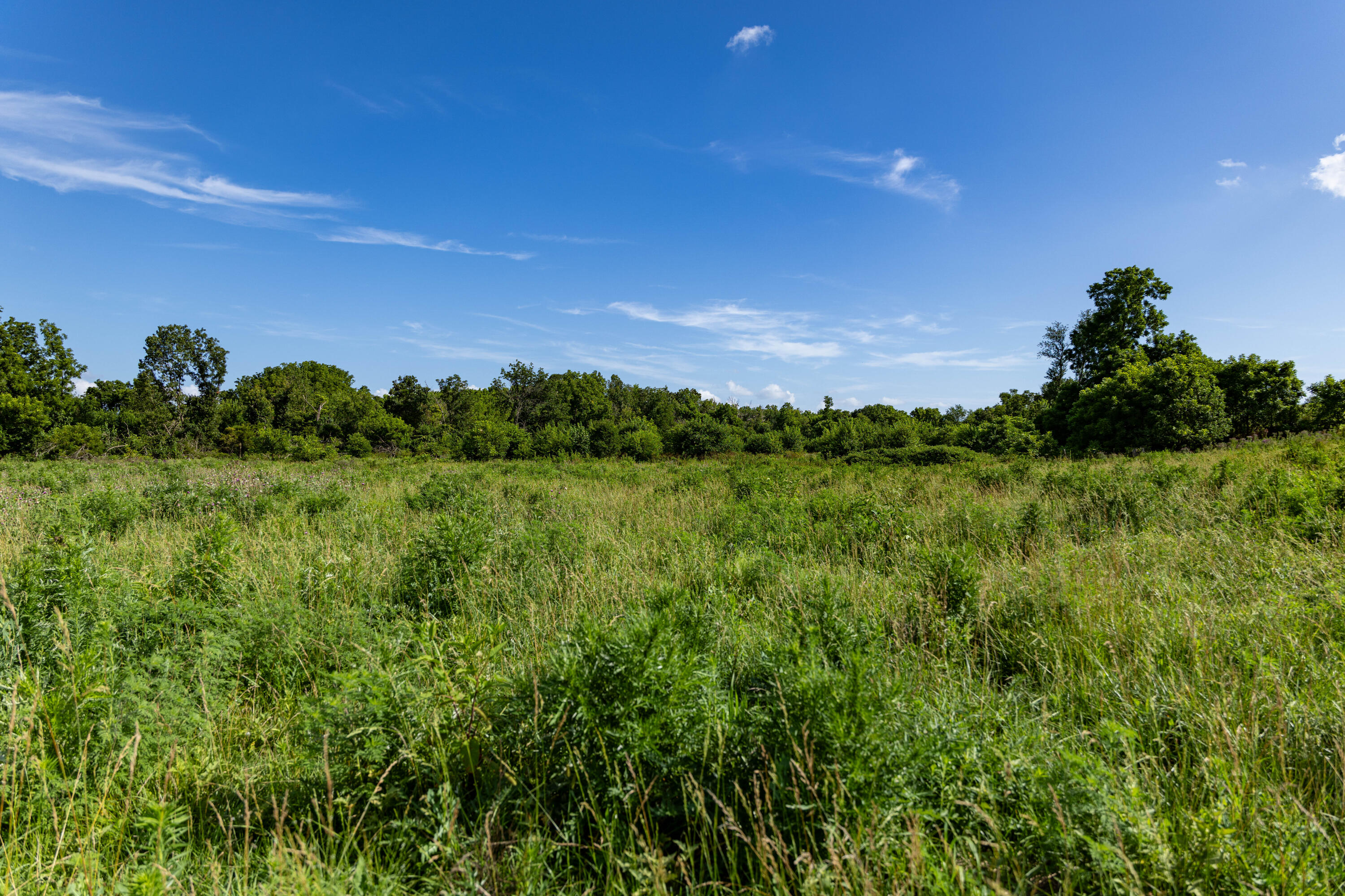 Photo 7 - Land for sale – 16406  Lawrence 2240   Verona, MO
