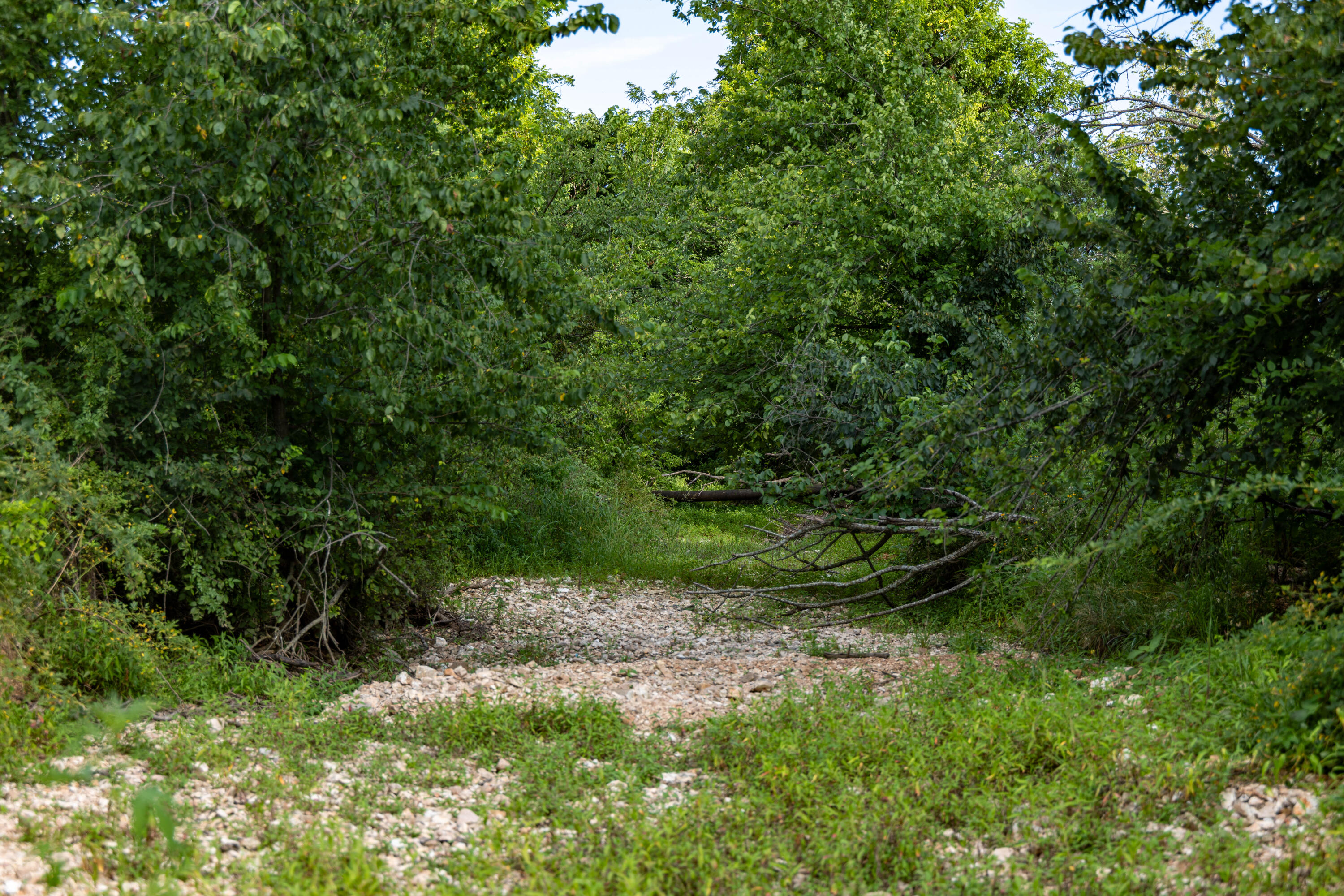 Photo 14 - Land for sale – 16406  Lawrence 2240   Verona, MO