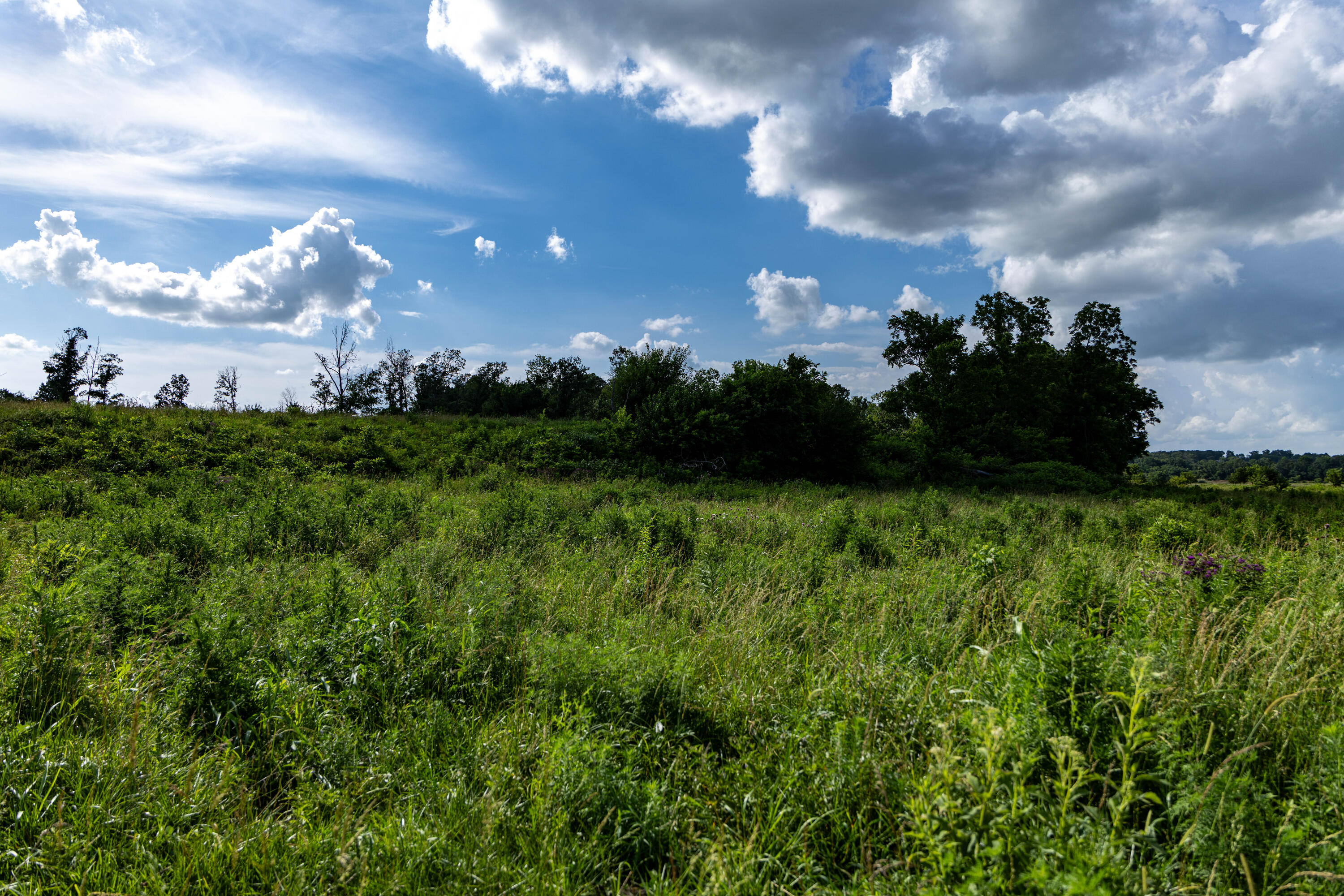 Photo 12 - Land for sale – 16406  Lawrence 2240   Verona, MO