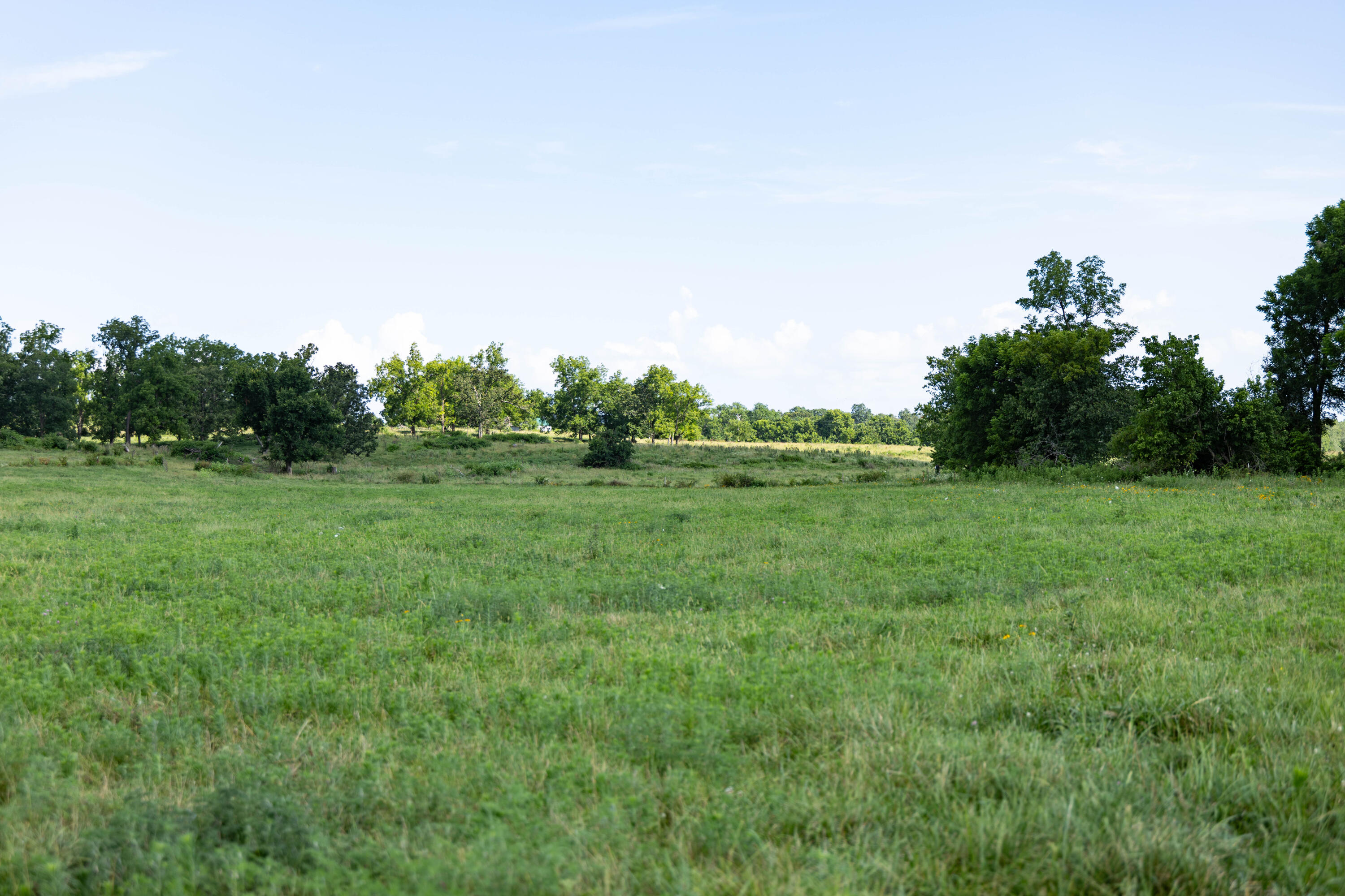 Photo 30 - Land for sale – 16406  Lawrence 2240   Verona, MO
