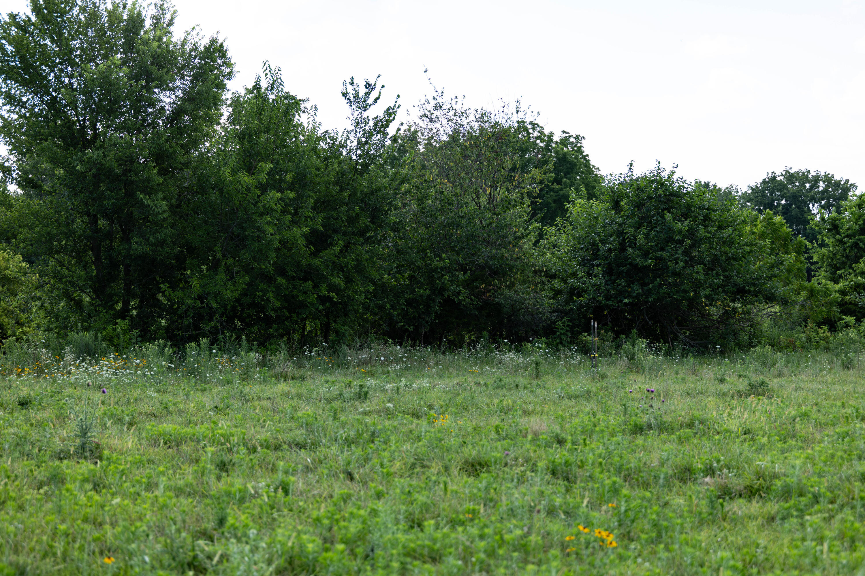 Photo 20 - Land for sale – 16406  Lawrence 2240   Verona, MO