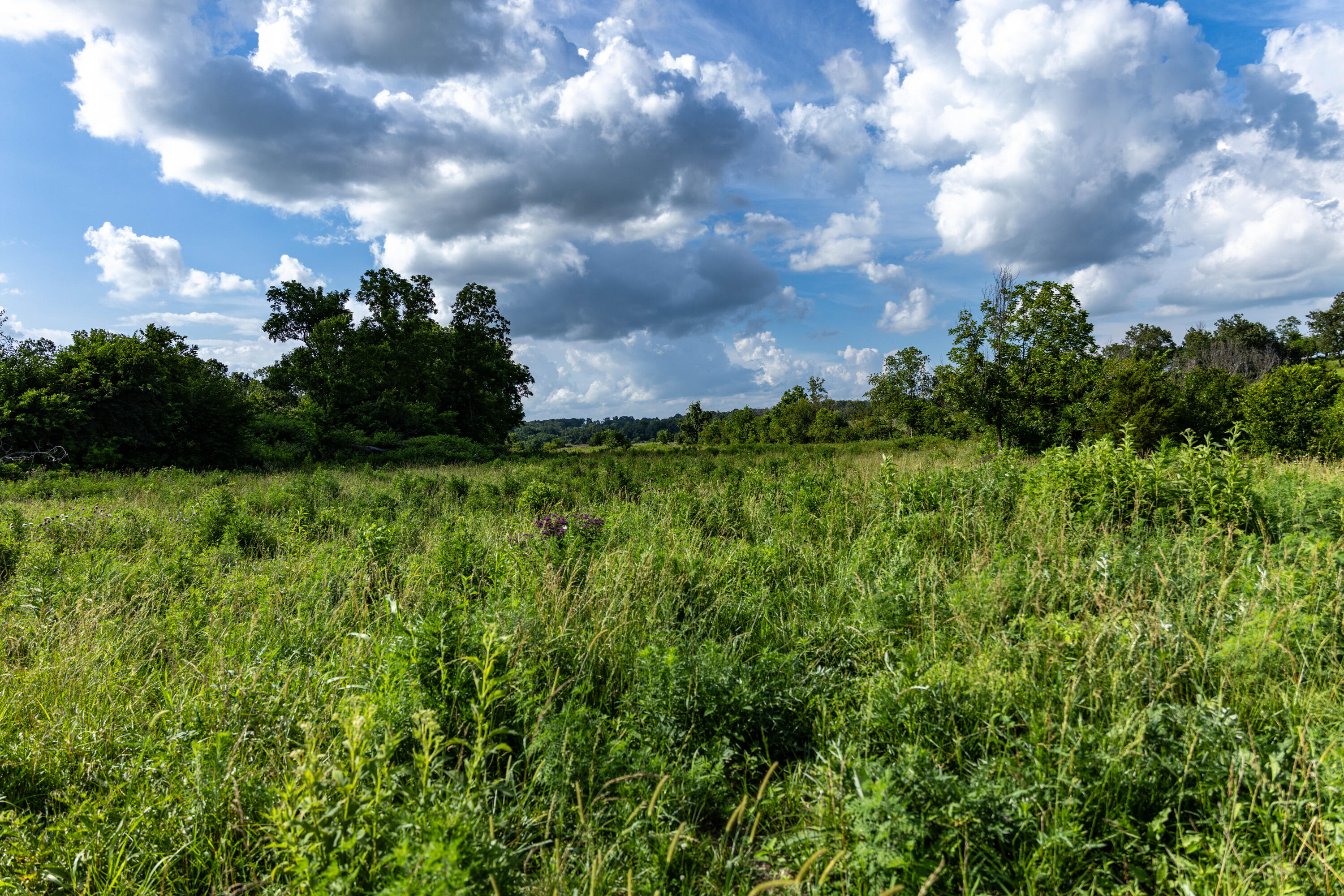 Photo 11 - Land for sale – 16406  Lawrence 2240   Verona, MO