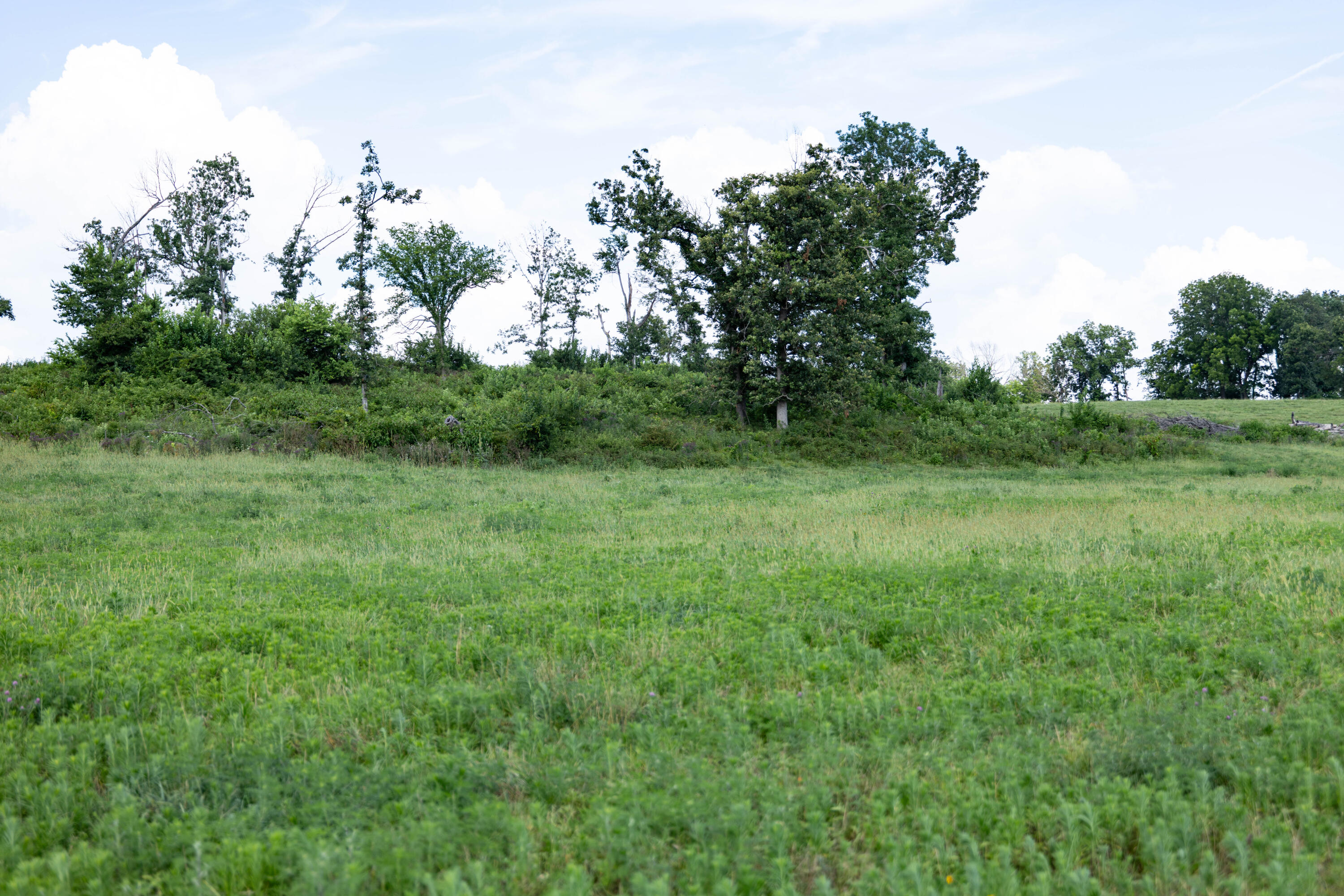 Photo 27 - Land for sale – 16406  Lawrence 2240   Verona, MO