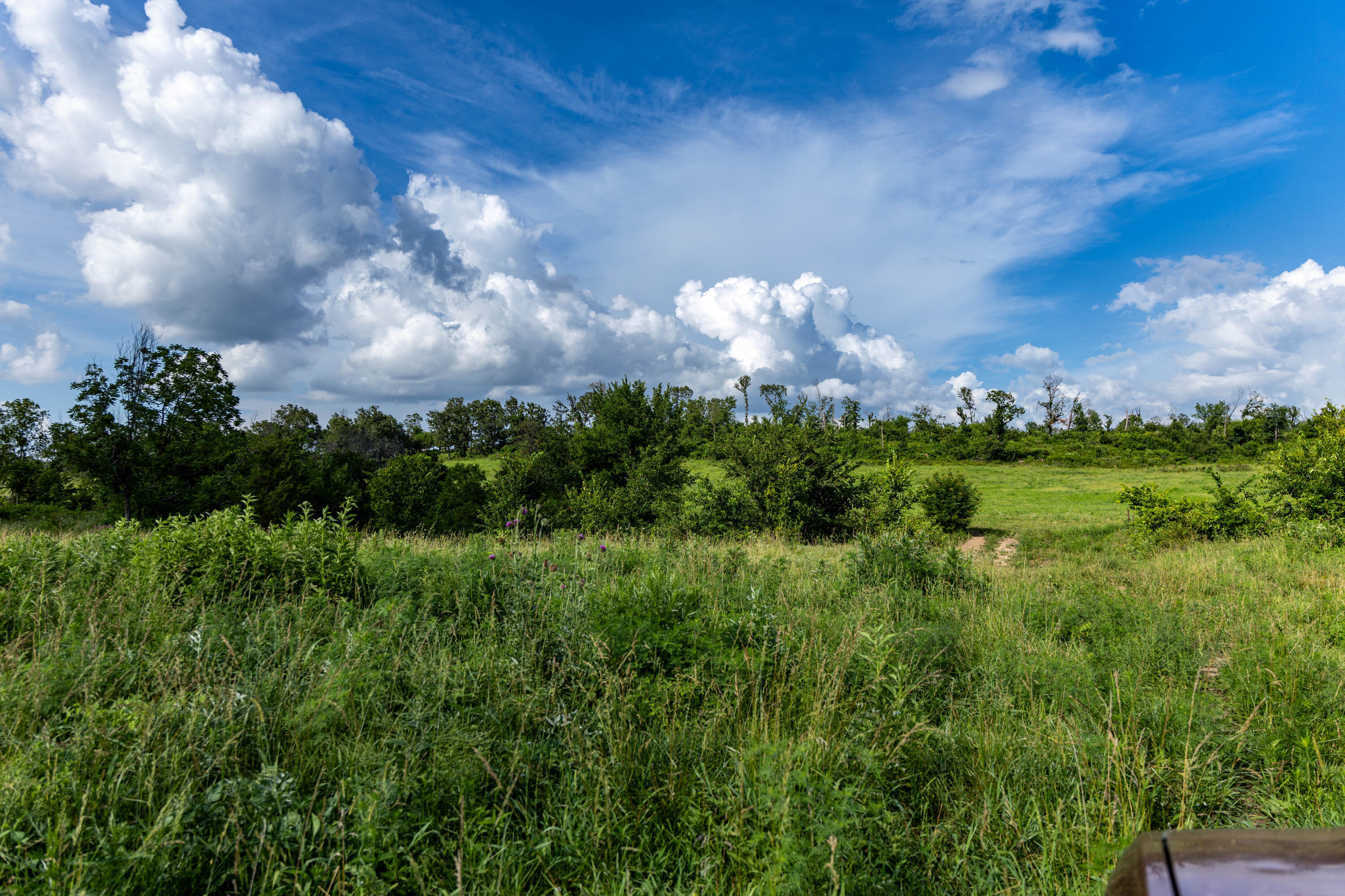 Photo 13 - Land for sale – 16406  Lawrence 2240   Verona, MO