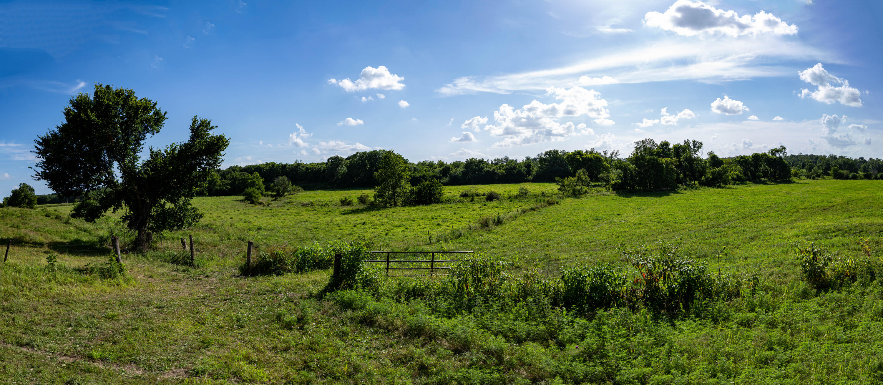 Photo 3 - Land for sale – 16406  Lawrence 2240   Verona, MO
