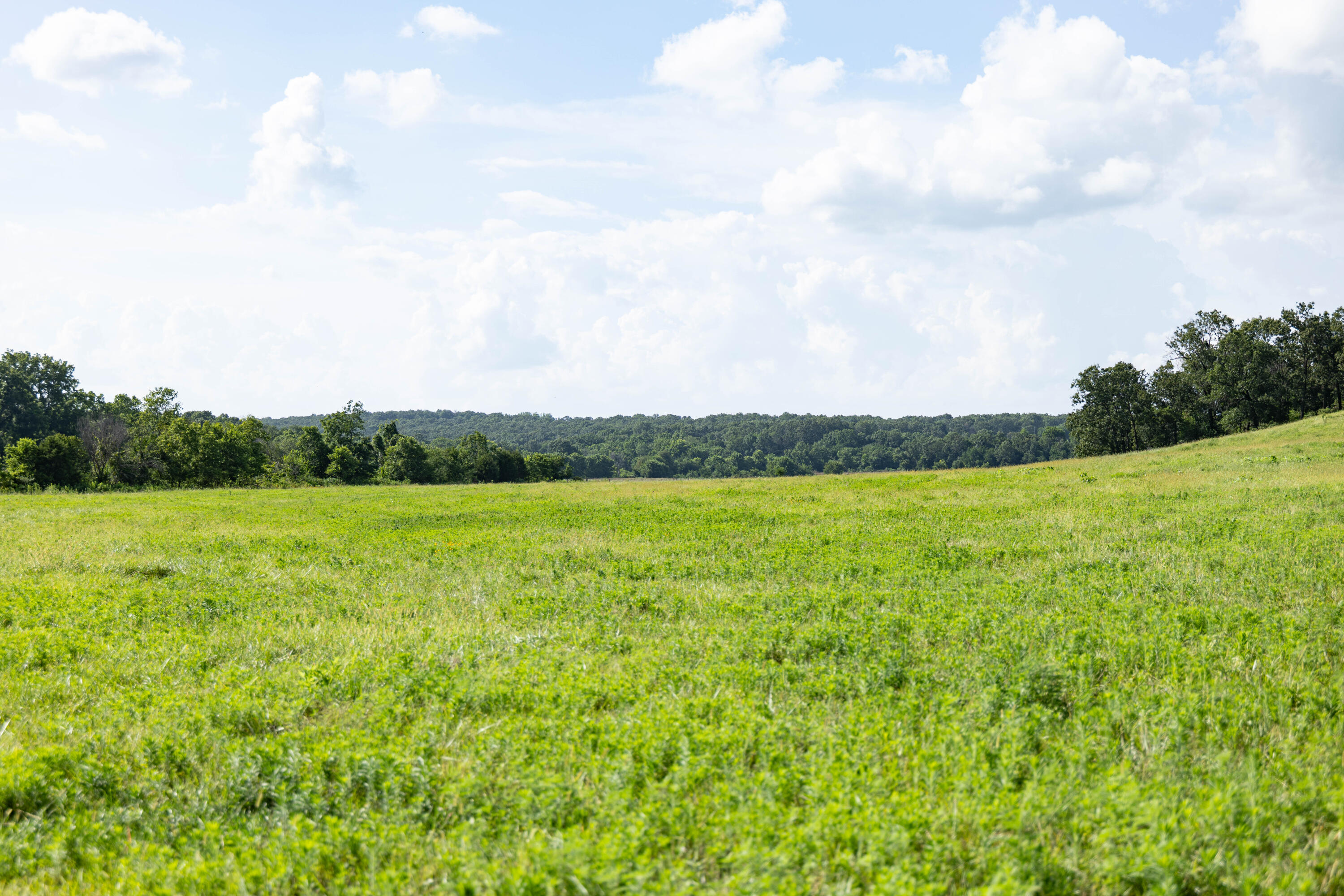 Photo 36 - Land for sale – 16406  Lawrence 2240   Verona, MO