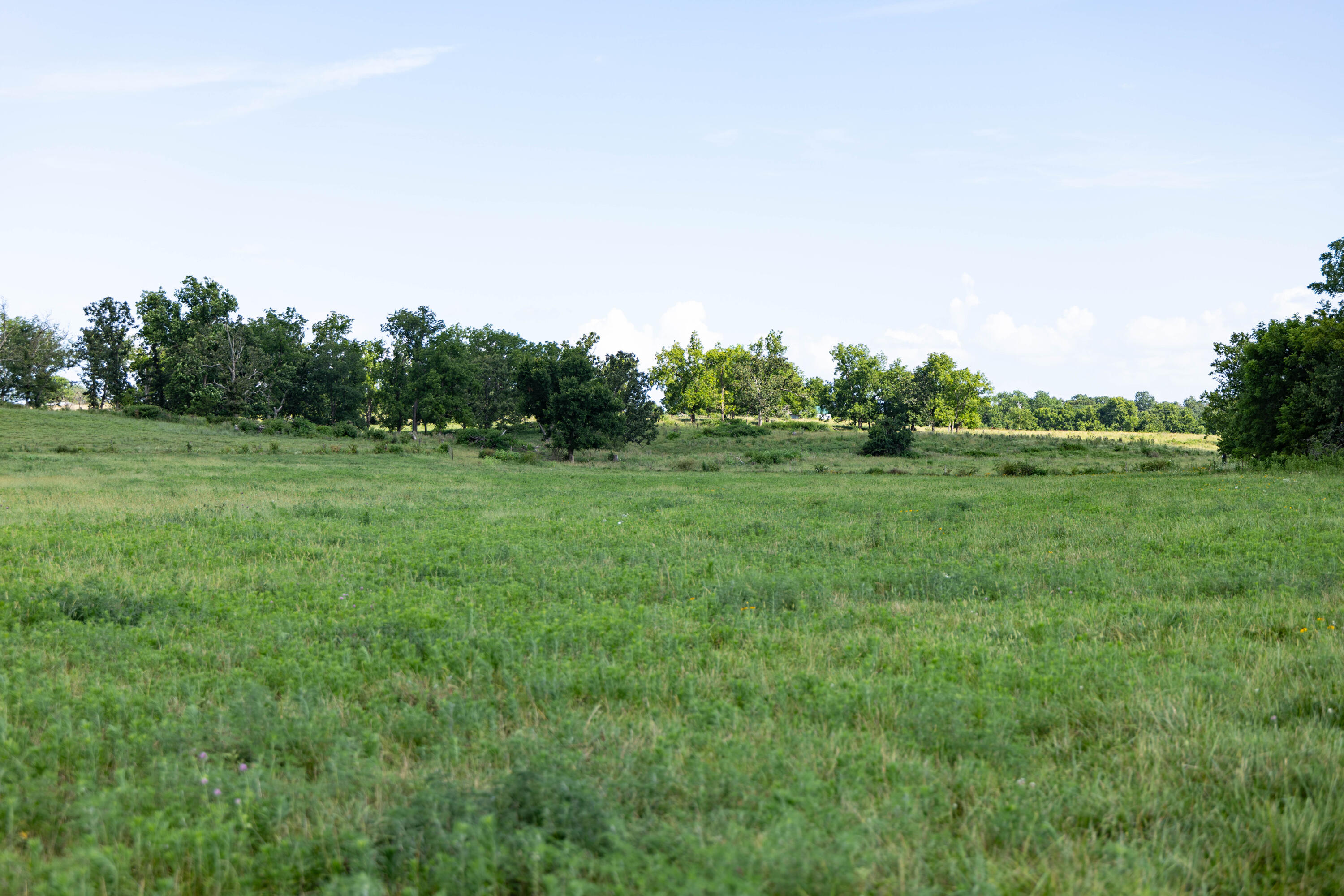 Photo 29 - Land for sale – 16406  Lawrence 2240   Verona, MO