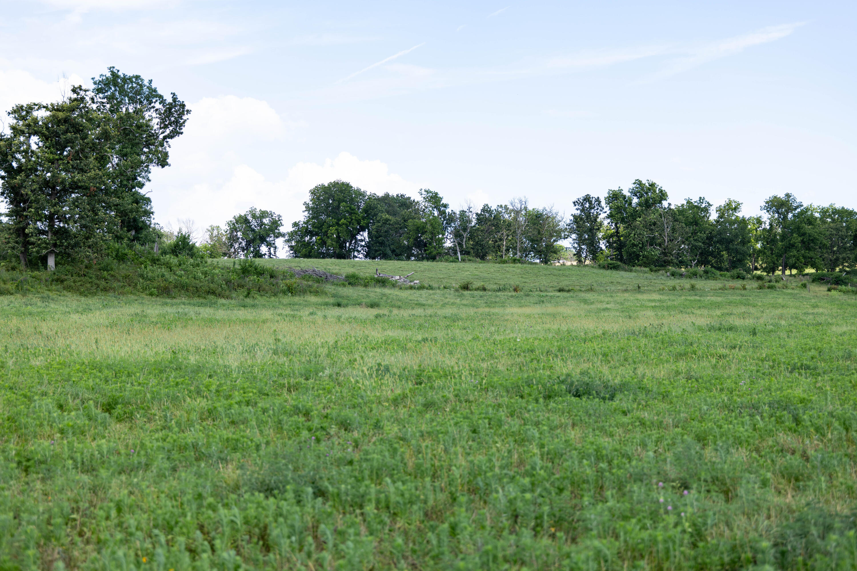 Photo 28 - Land for sale – 16406  Lawrence 2240   Verona, MO