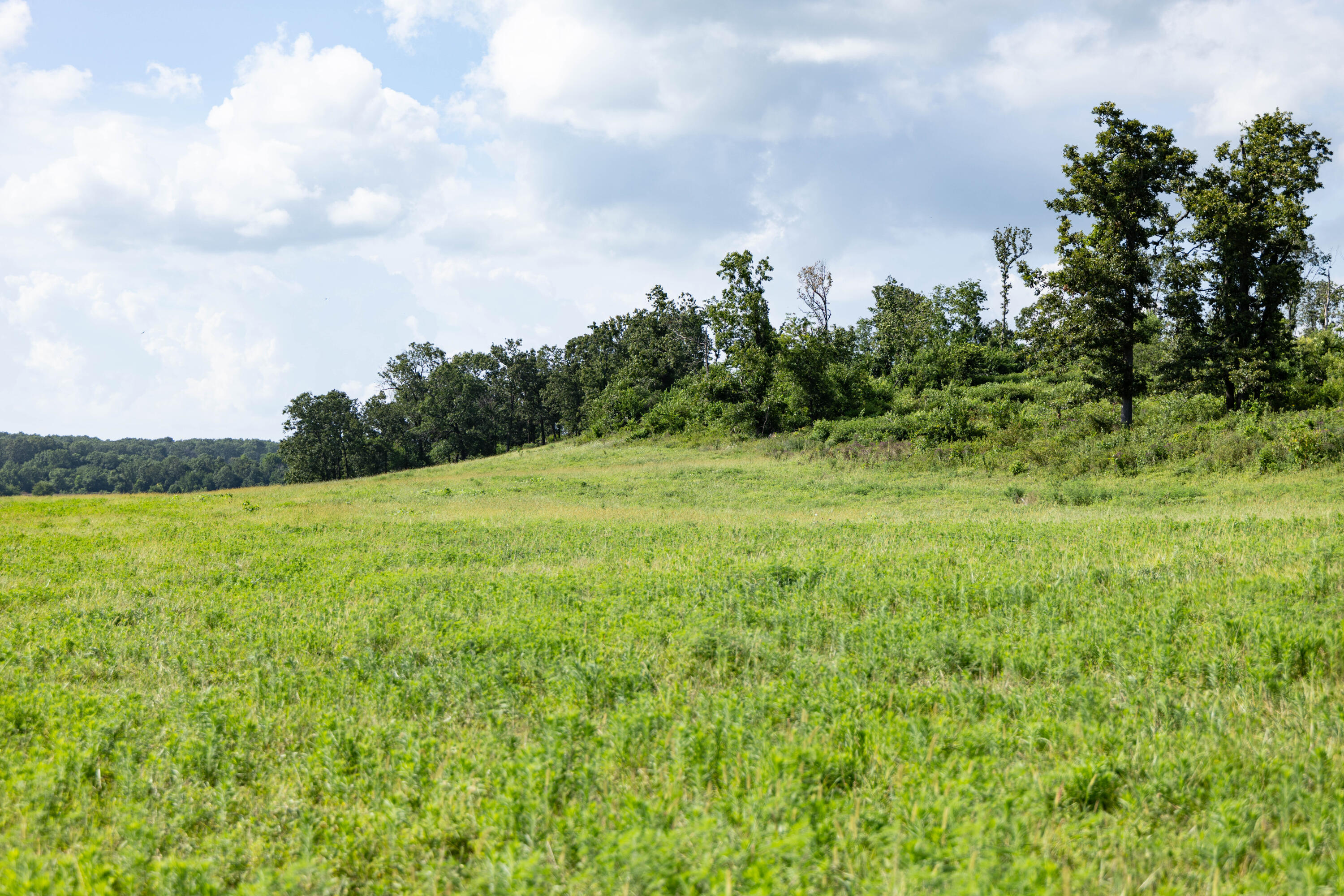 Photo 37 - Land for sale – 16406  Lawrence 2240   Verona, MO