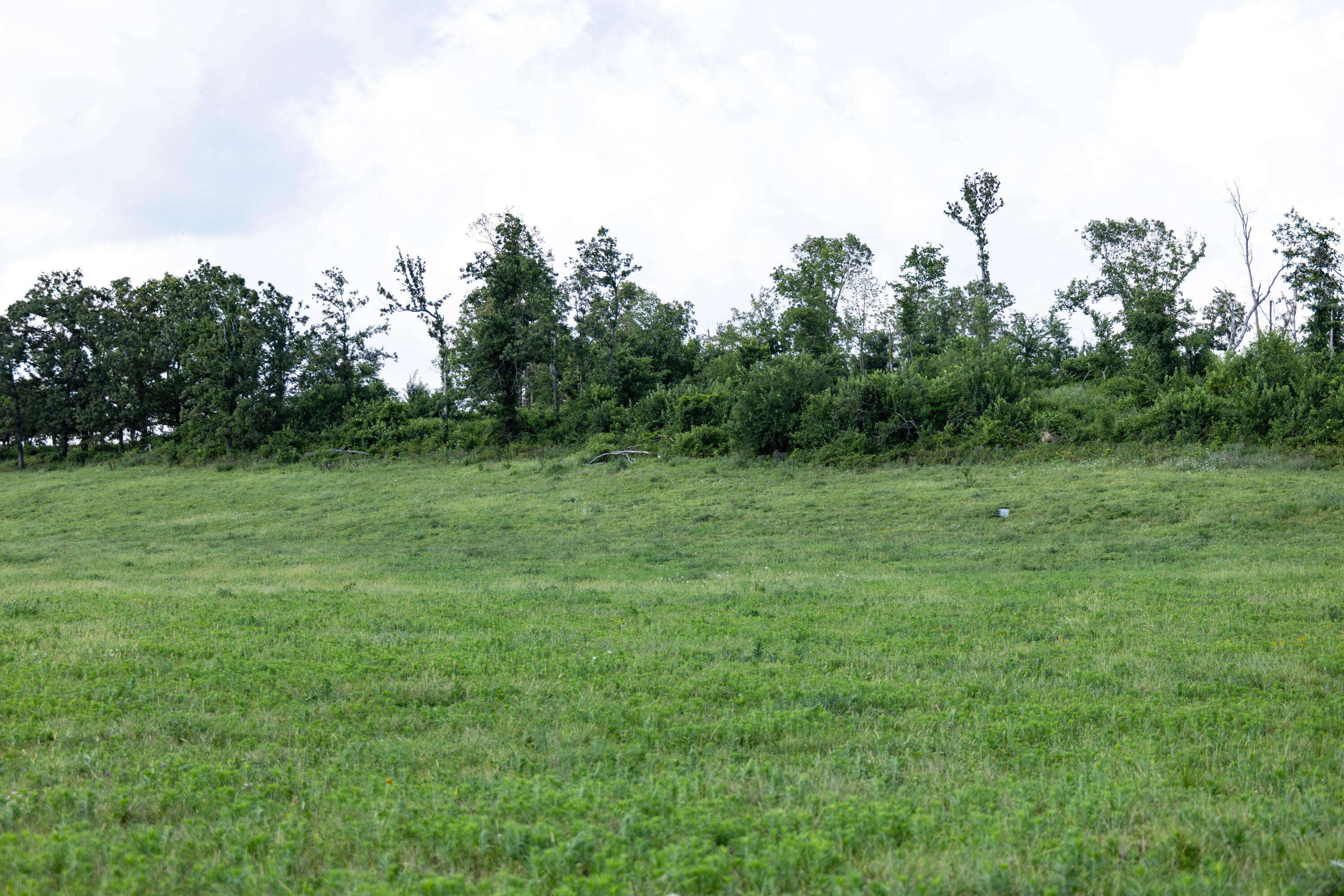 Photo 16 - Land for sale – 16406  Lawrence 2240   Verona, MO
