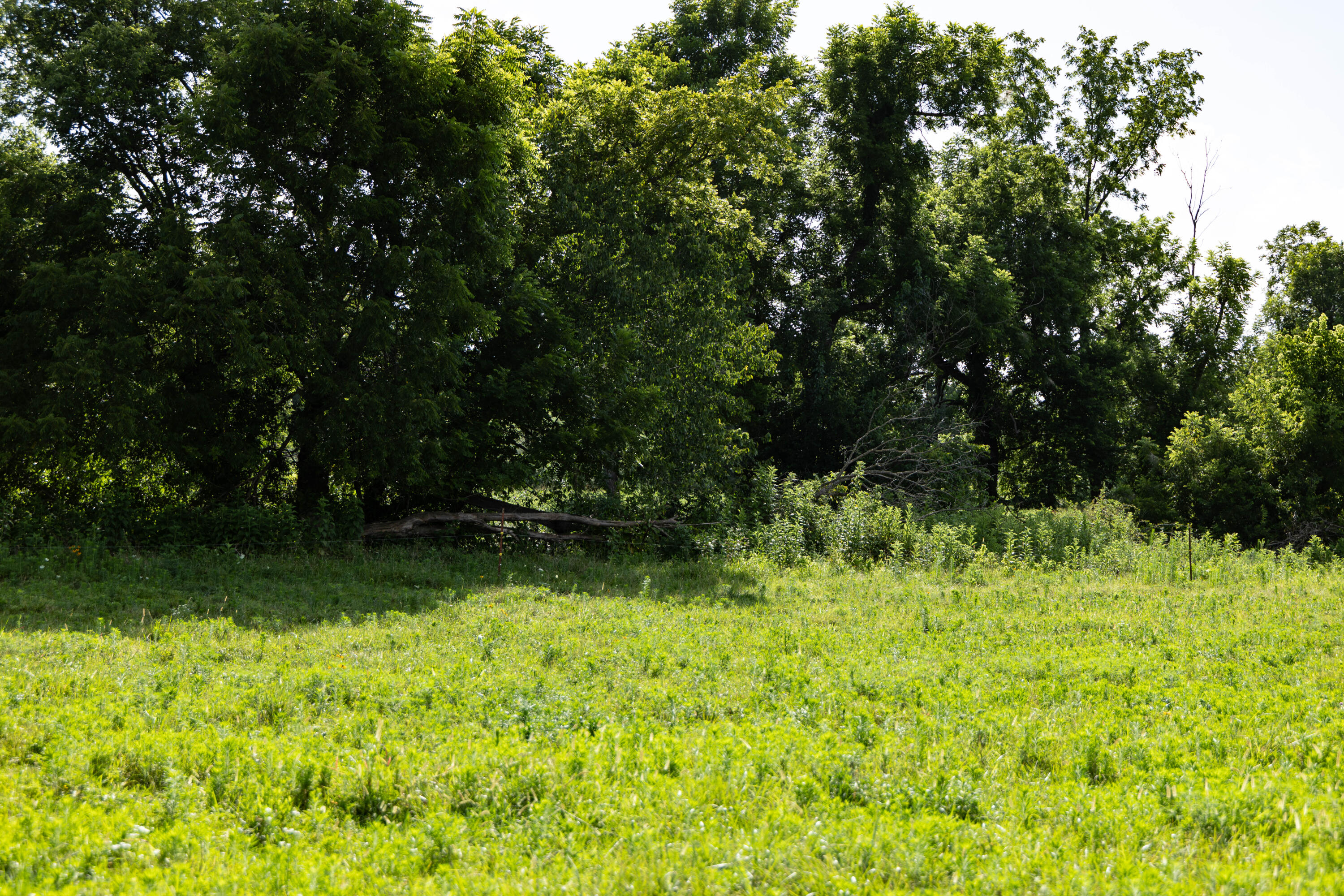 Photo 34 - Land for sale – 16406  Lawrence 2240   Verona, MO