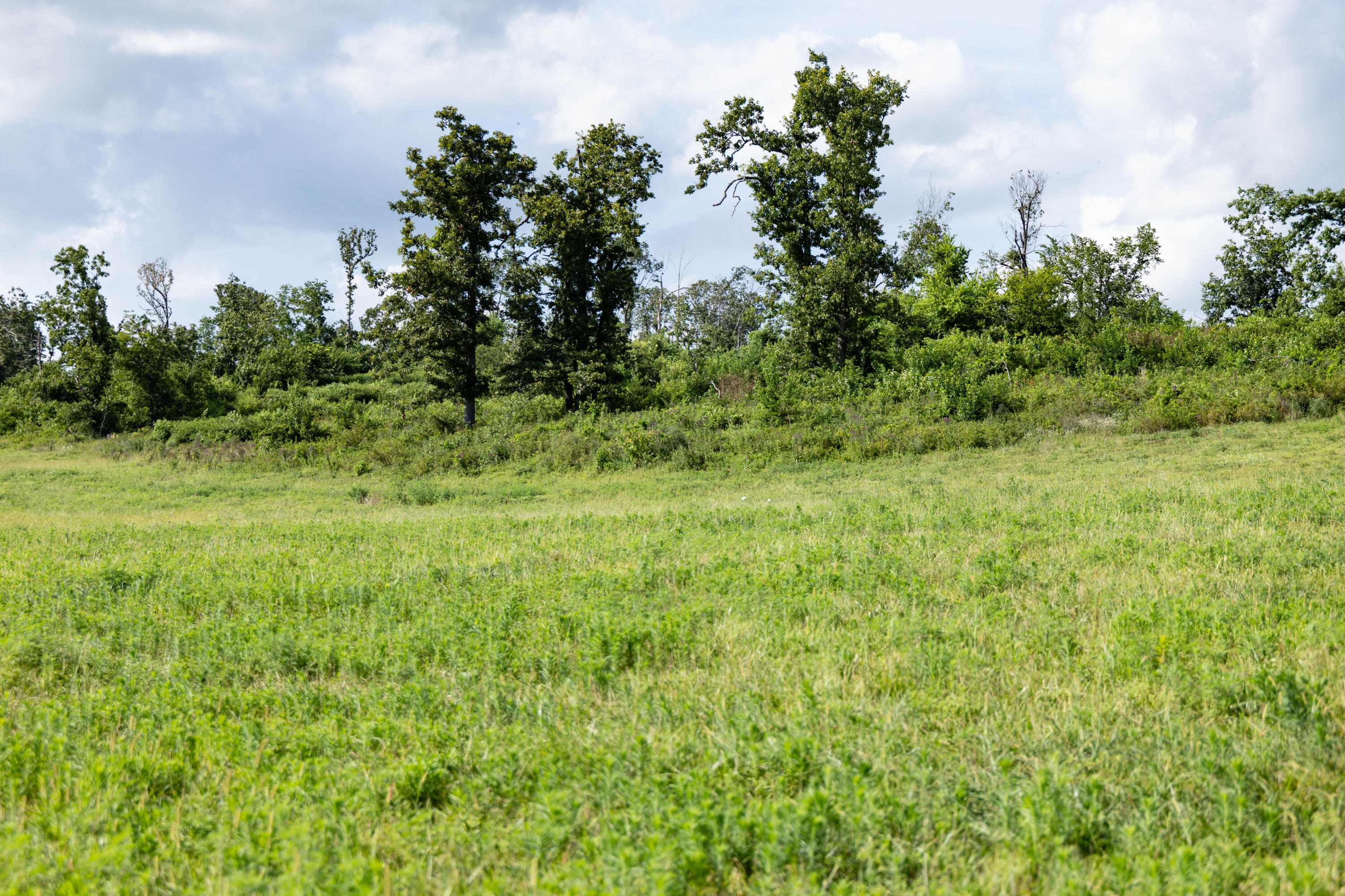 Photo 38 - Land for sale – 16406  Lawrence 2240   Verona, MO