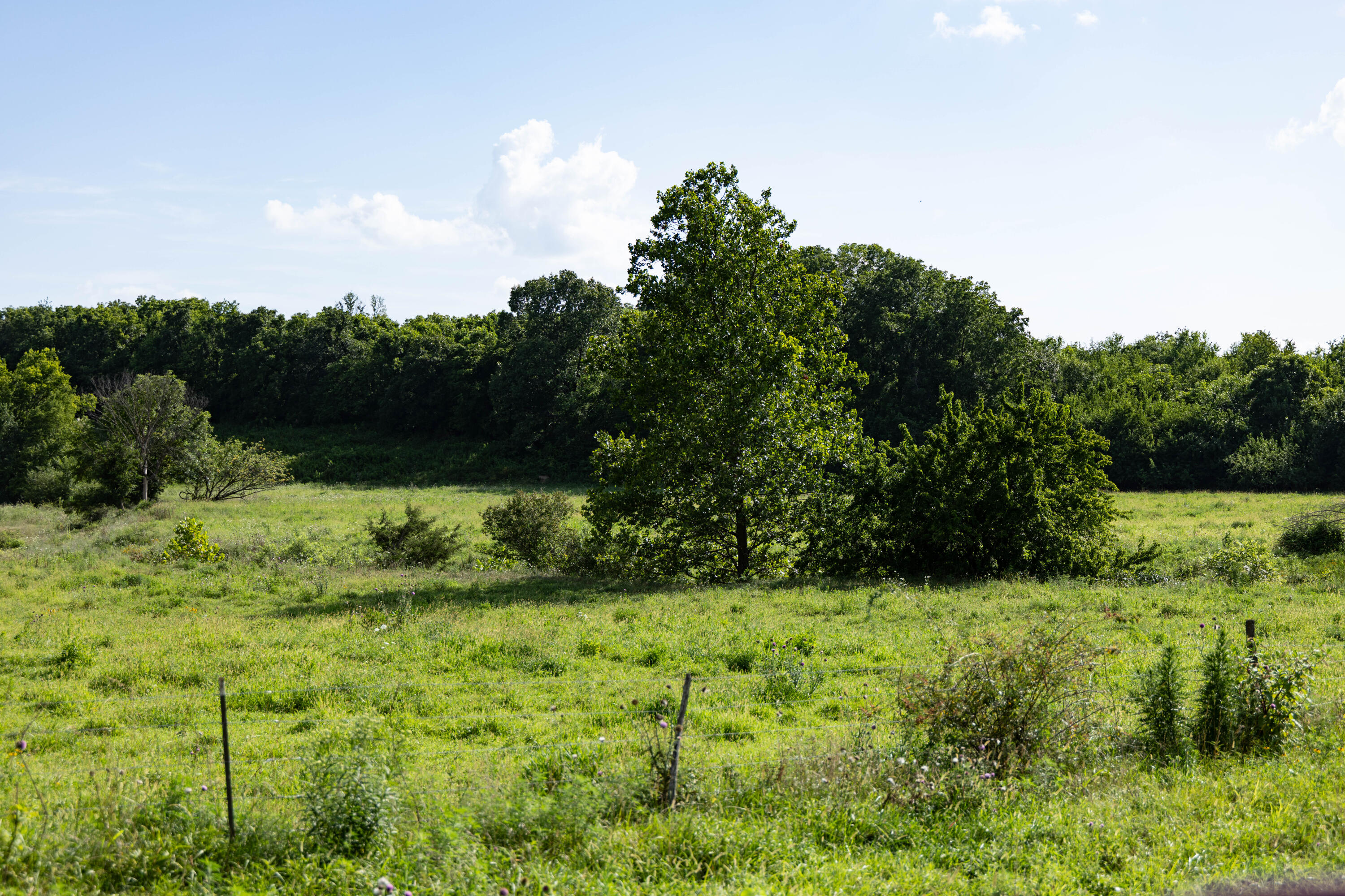 Photo 47 - Land for sale – 16406  Lawrence 2240   Verona, MO
