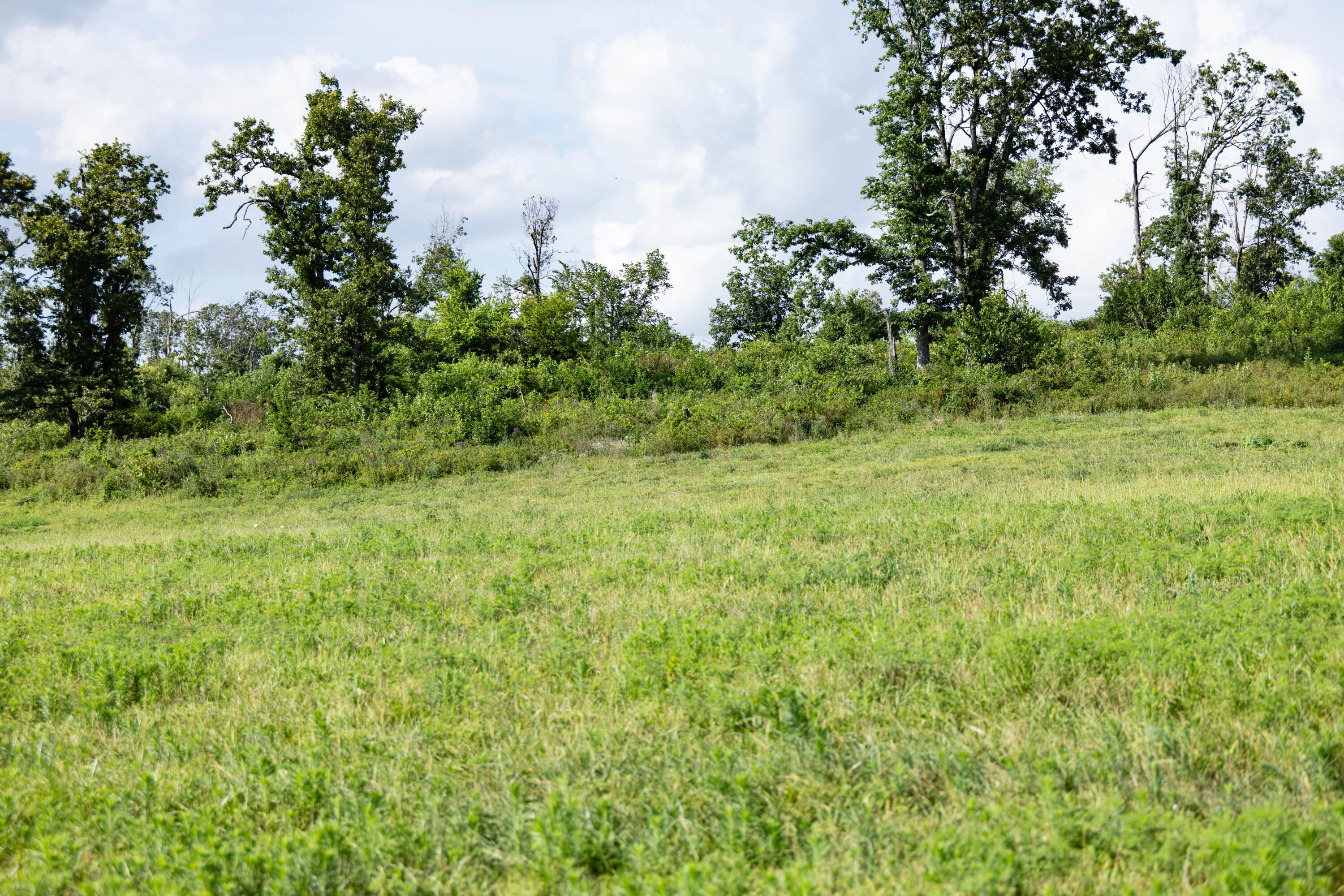 Photo 39 - Land for sale – 16406  Lawrence 2240   Verona, MO