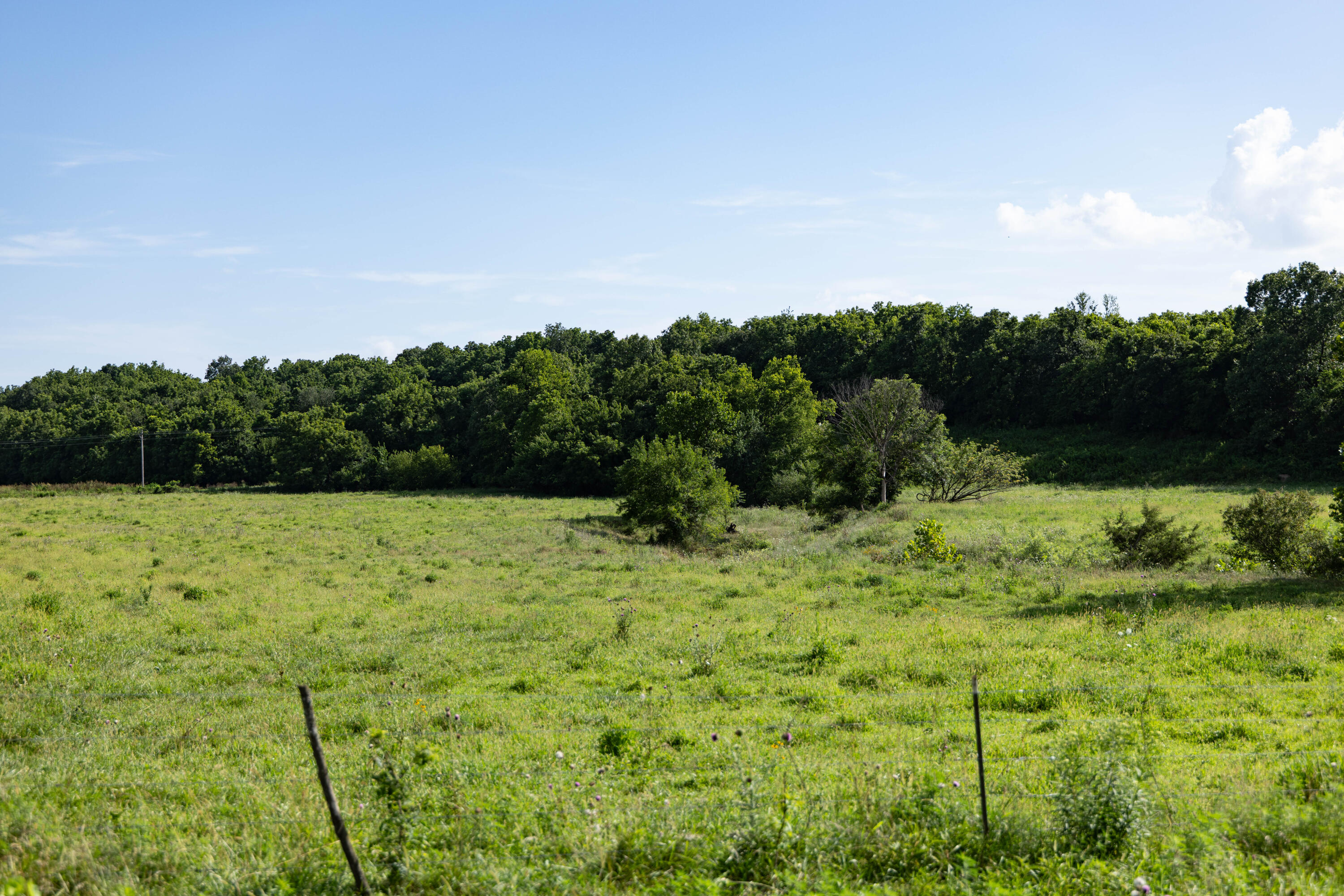 Photo 46 - Land for sale – 16406  Lawrence 2240   Verona, MO