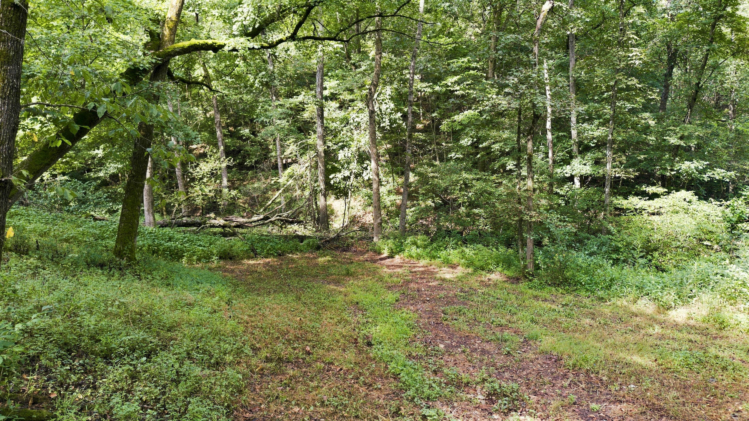 Photo 39 - Residential for sale – 24709  Wolfe Road  Washburn, MO