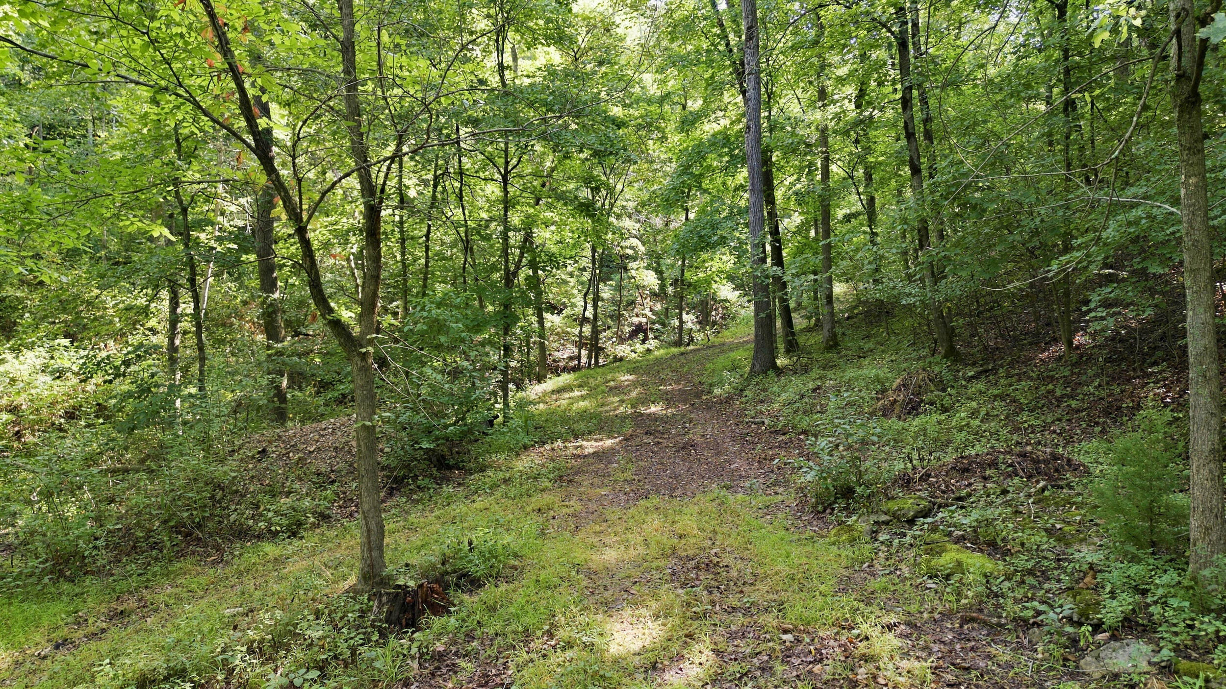 Photo 38 - Residential for sale – 24709  Wolfe Road  Washburn, MO