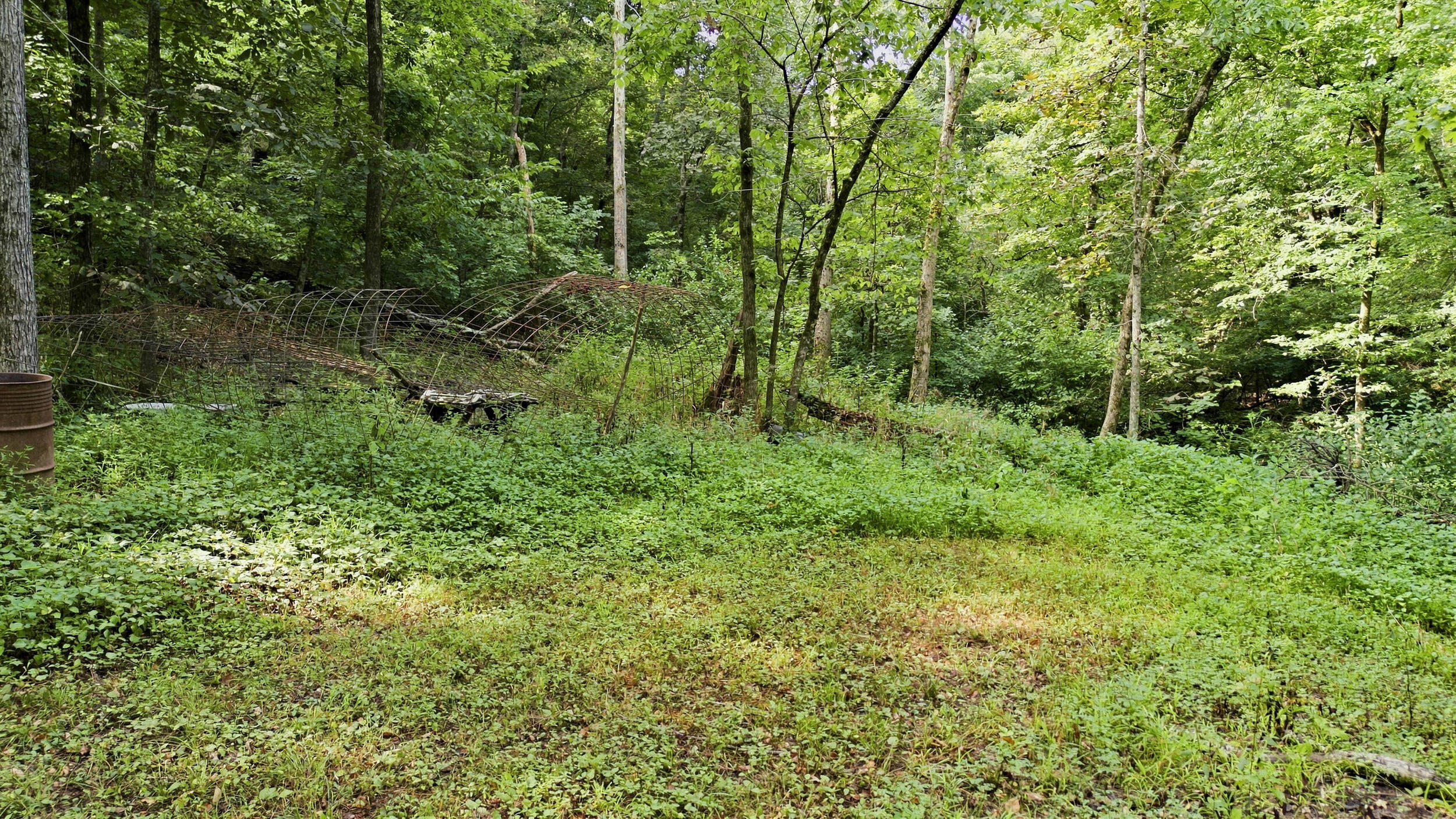 Photo 41 - Residential for sale – 24709  Wolfe Road  Washburn, MO
